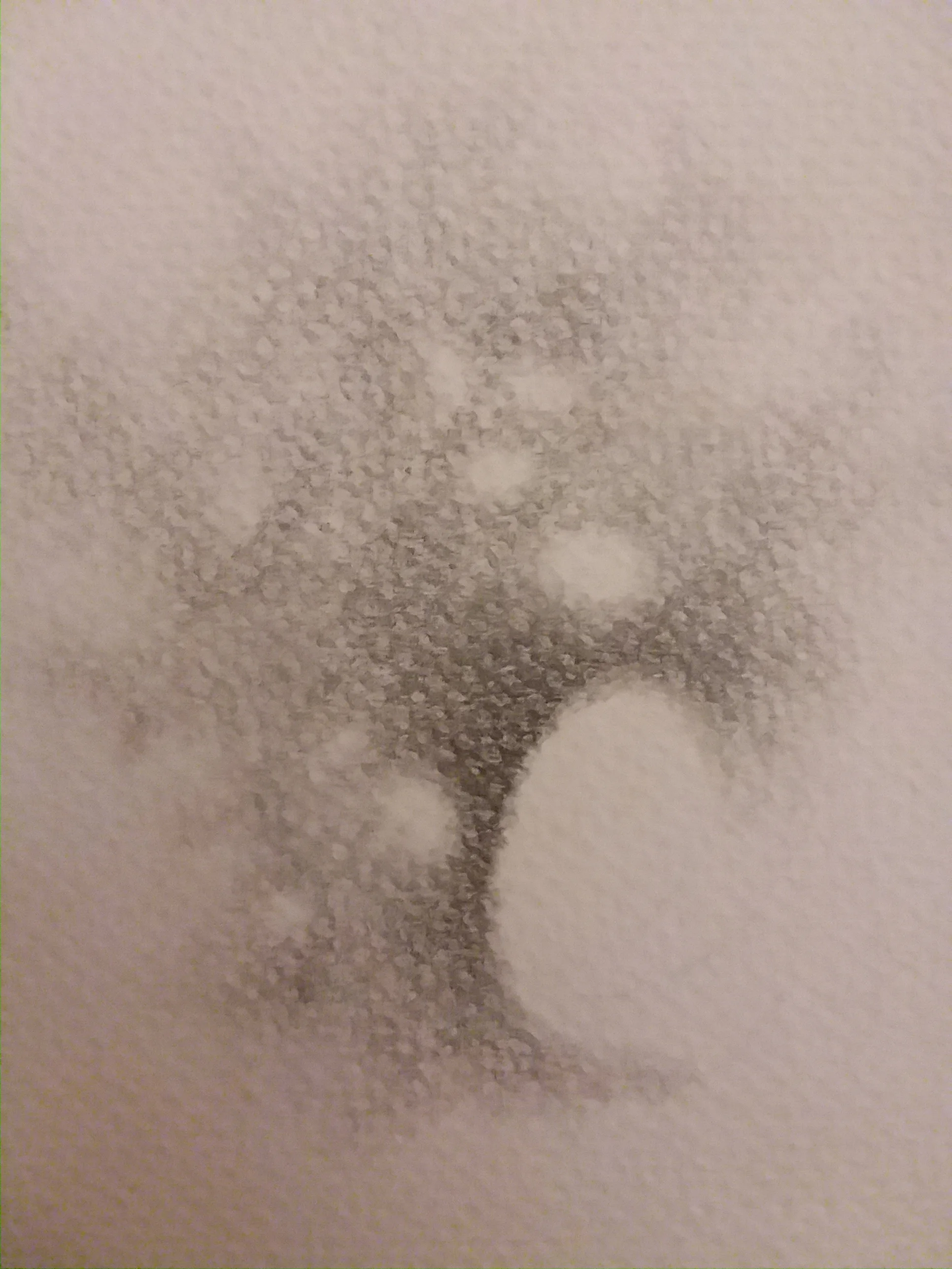 20180503_212759.jpg