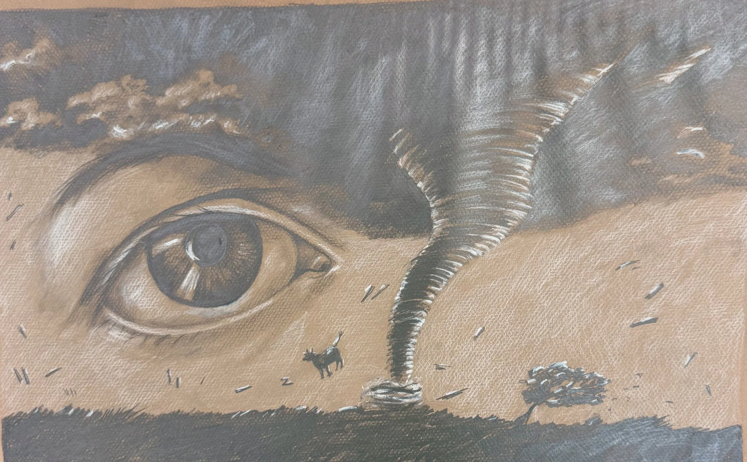 Eye of the Storm. jpg.jpg