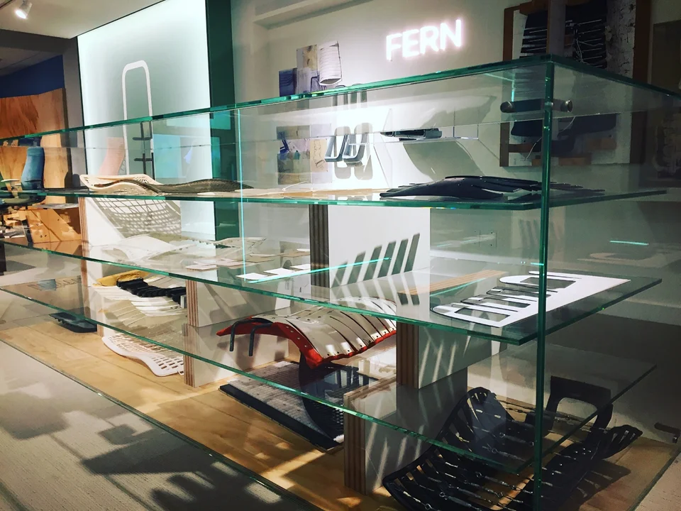  Fern "Artifacts" 