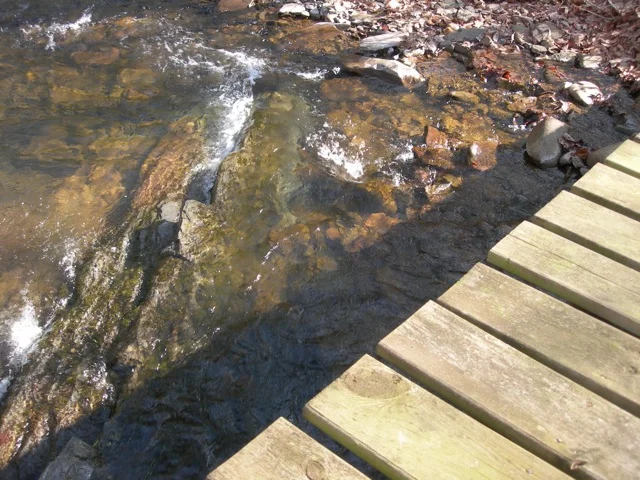 water.jpg