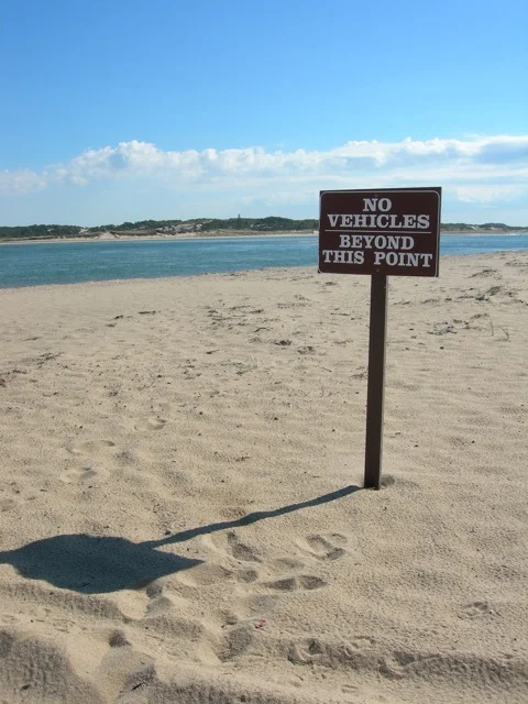 The water in this photo is a tidal pool.