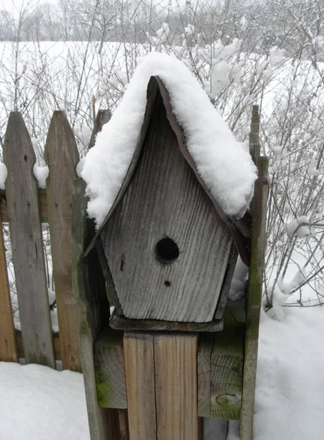 Cozy digs for a winter's day.
