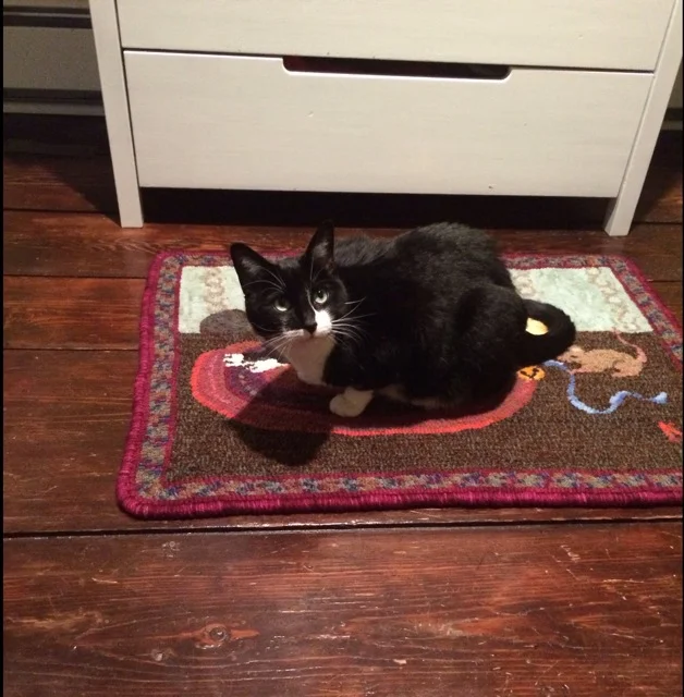 A cat on a cat rug.
