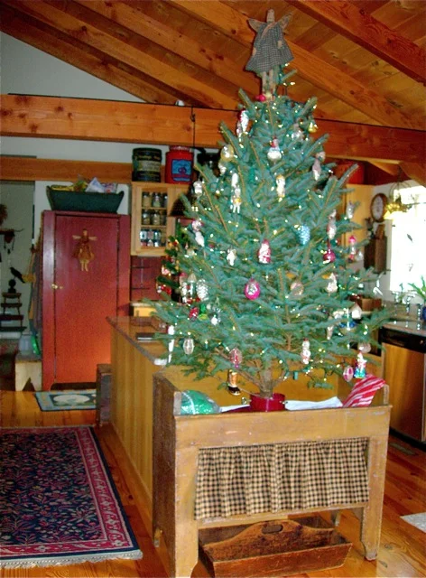 The tree in it's annual dog-proof spot.