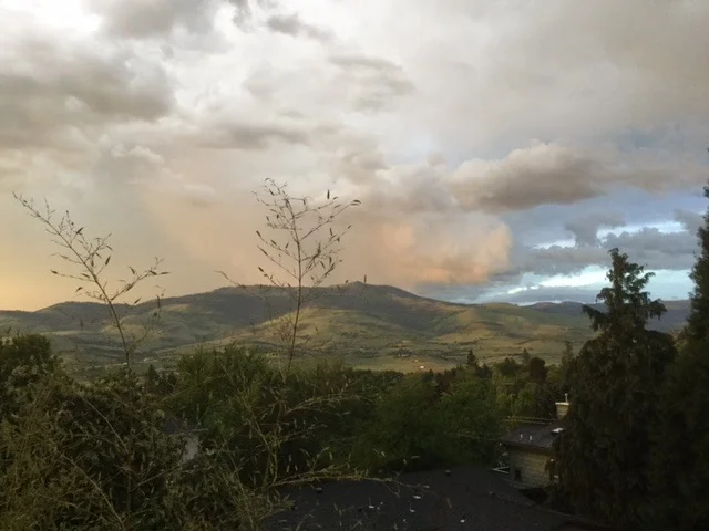 I never tire of looking at Grizzly Peak. Here it is as a storm approaches. The sky had an eerie yellow cast to it.
