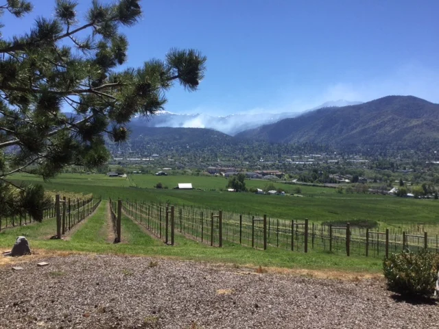 While enjoying a bit of Oregon's grape we witnessed a controlled burn on the mountains.