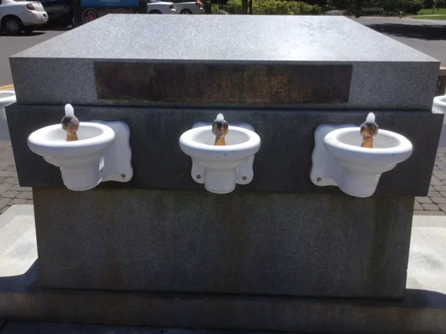 The lithia water public fountains are always bubbling. Lithia water has a sulfurous taste. Not pleasant, but worth a try.