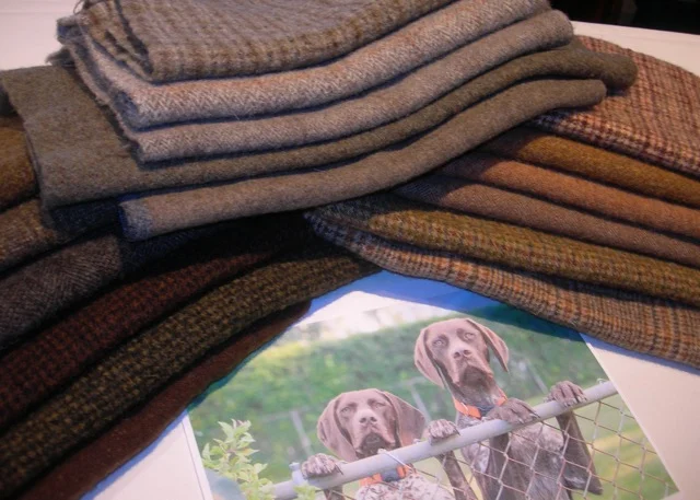 Just some of the wool I came home with. Can't wait to see how it comes together in this rug.