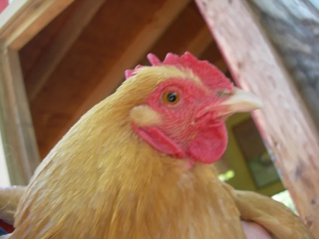 Lucinda tried a selfie, but it's a bit out of focus.