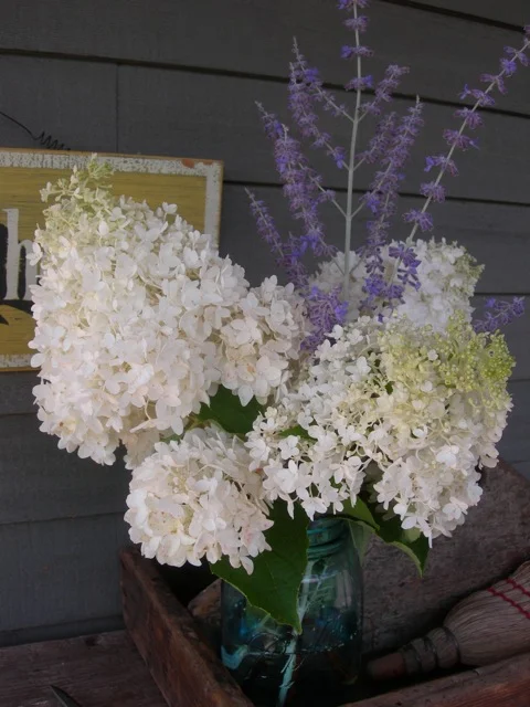 A simple bouquet of hydrangeas and Russian sage in a Ball jar.