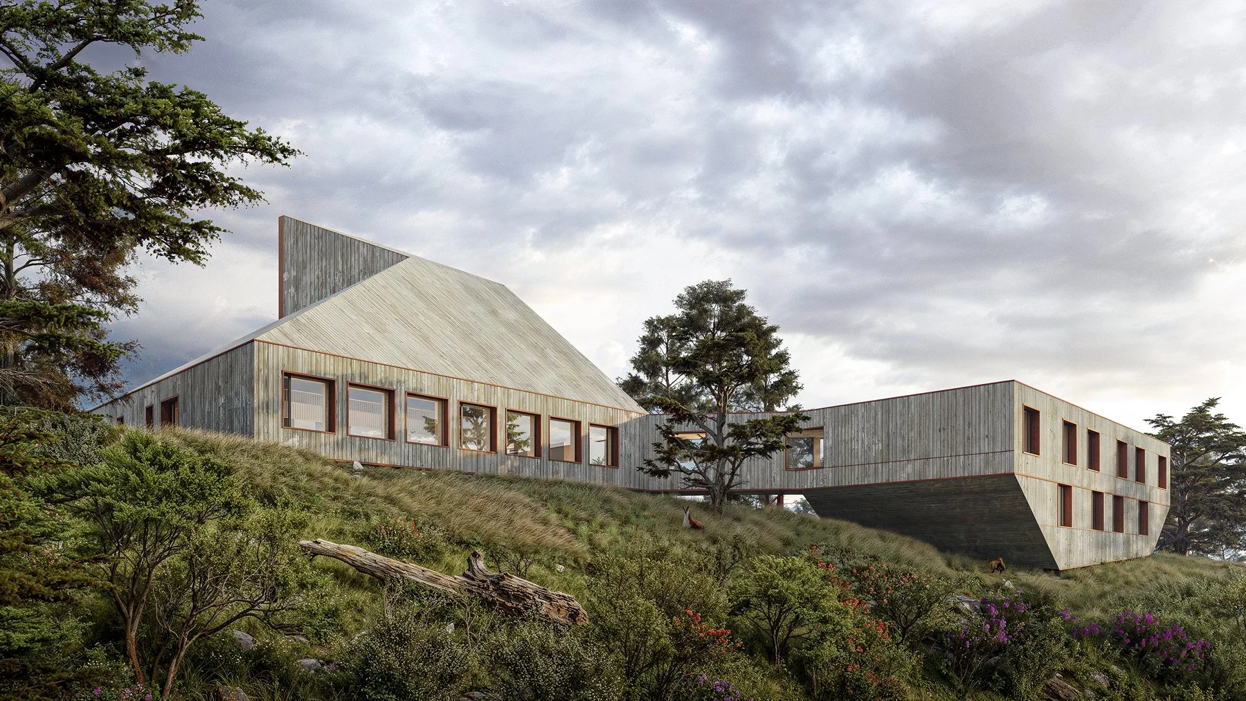 Eco travel | eco hotel | adventure hotel | | landscape hotel | nature hotel | nature destination | room and wild | luxury hotel Patagonia | Stargazing | Explora Torres del Paine