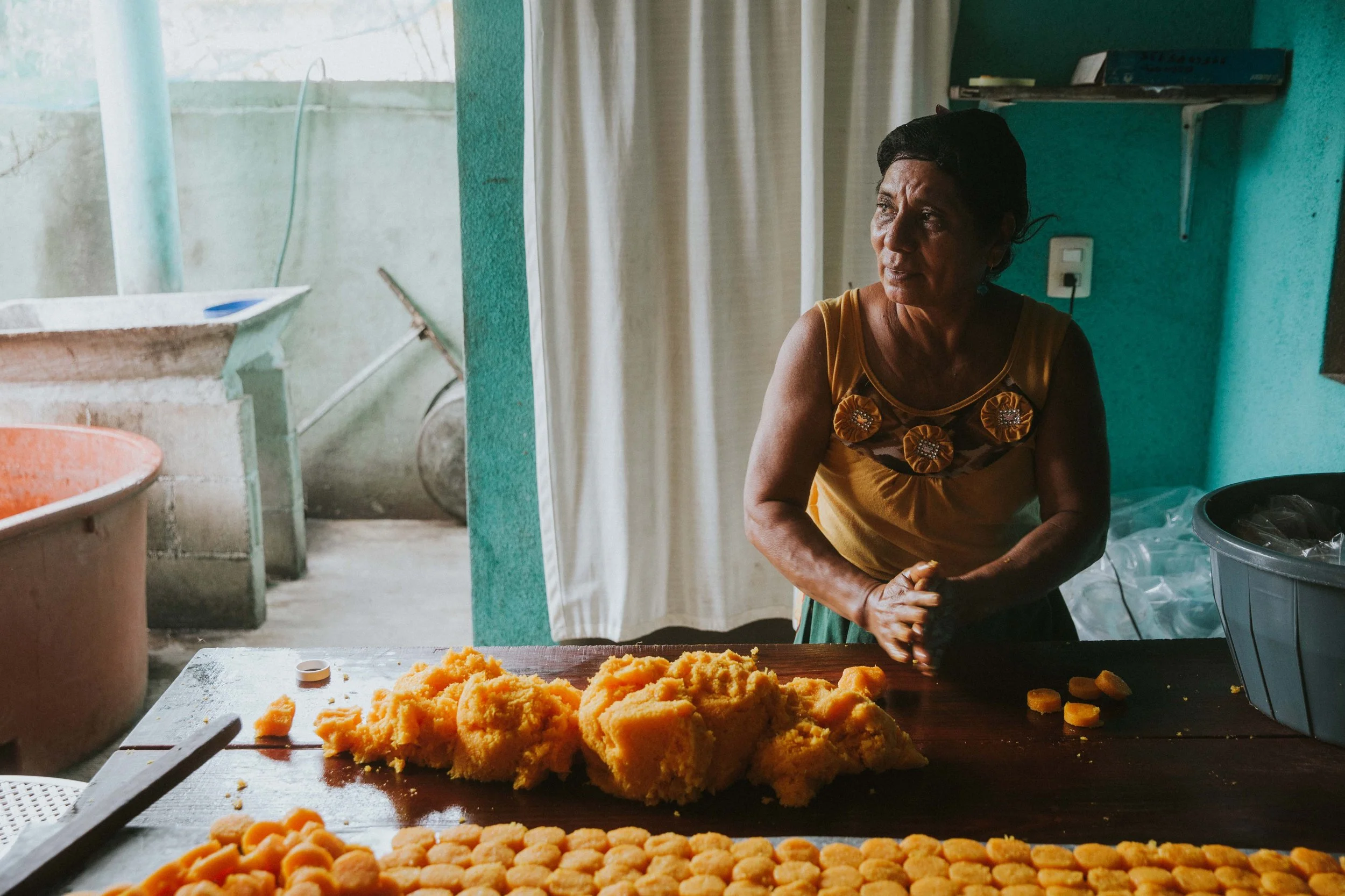 Agritourism | Agricultural hotels | farm to table | Landscape hotels | nature hotels | eco hotels  | sustainable hotels | mexico beach hotels |  playa viva