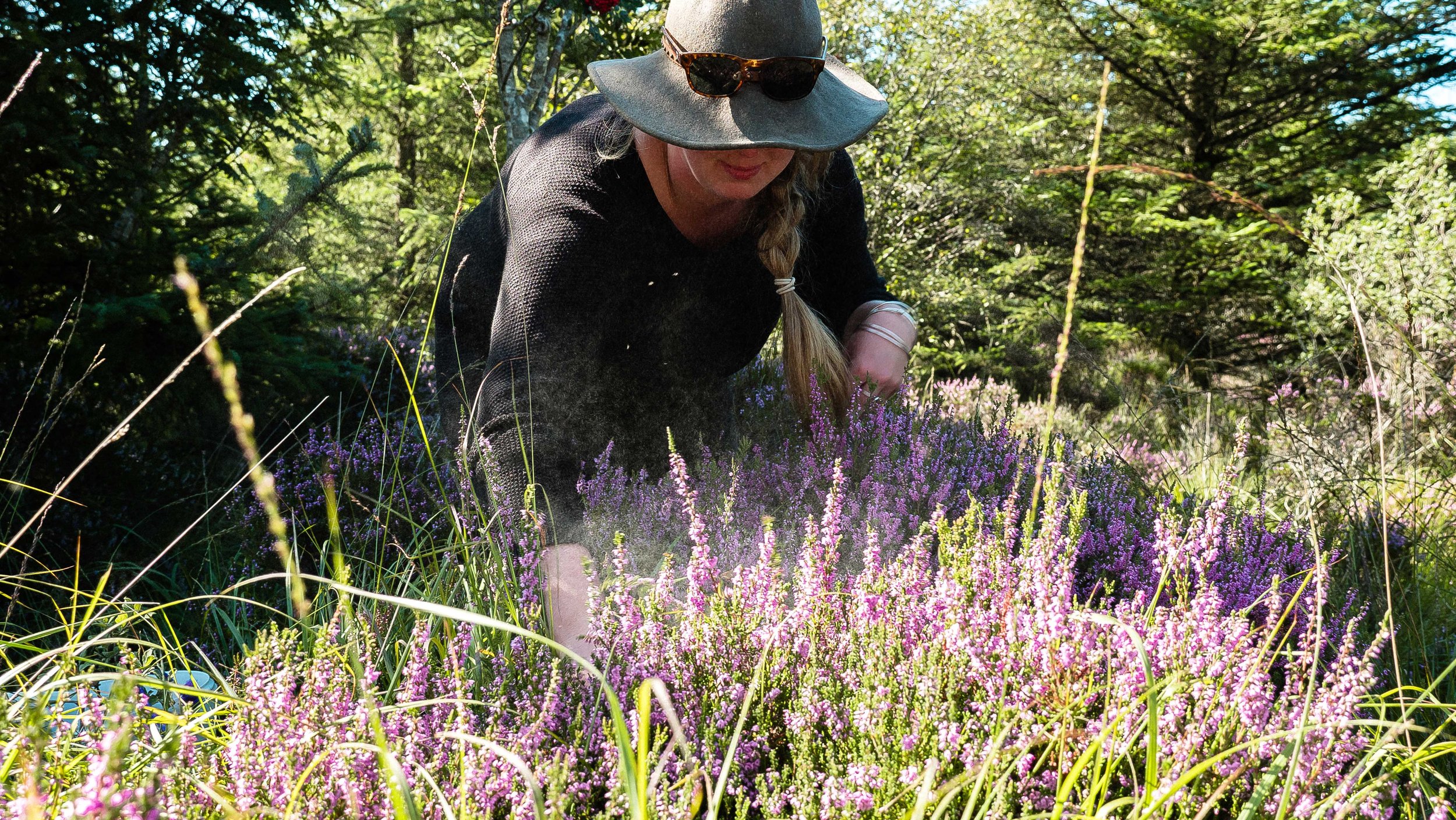 Sustainable Brand | Nature Destination | Experiential travel | Travel Guide | Gin Tasting | Foraging | Sustainable Business |  Islay Scotland | Travel Scotland | Botanist Gin | Bruichladdich Distillery | Room and Wild | Kate Hannett