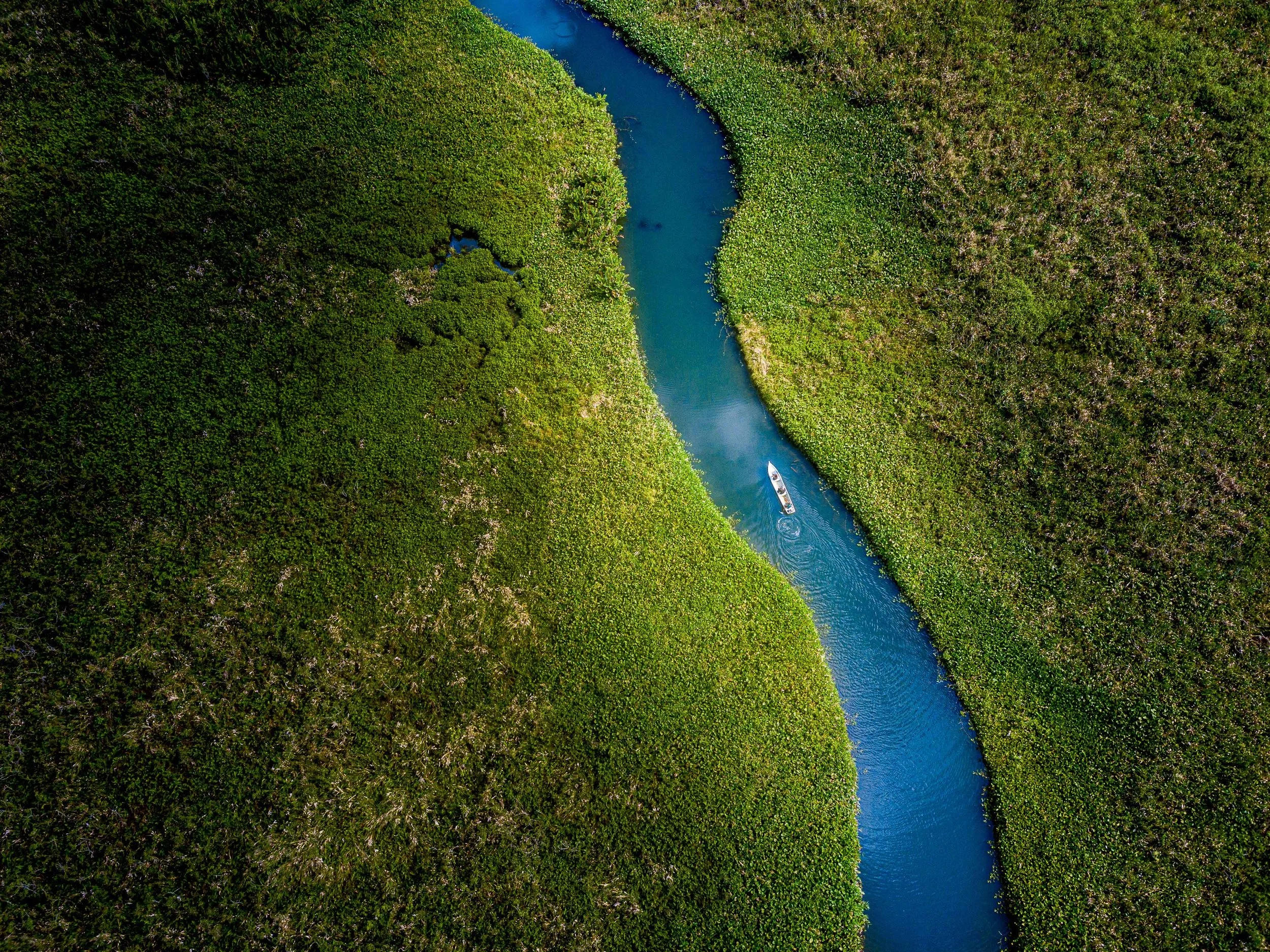 wellness travel | self care | spa hotel | mindfulness | Eco travel | eco hotel | landscape hotel | nature hotel | nature destination | room and wild | Gulfo Dulce Costa Rica
