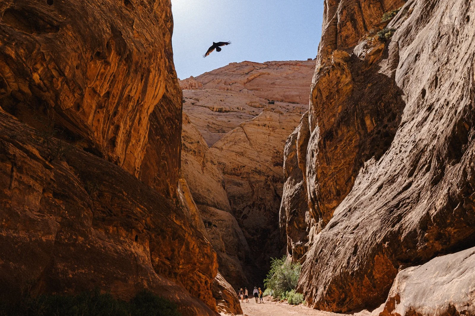 Utah travel guide | Utah Forever | Places to visit in utah | Glamping | Stargazing | Utah Hotels | Eco travel | eco hotel | landscape hotel | nature hotel | nature destination | room and wild | Factory Butte