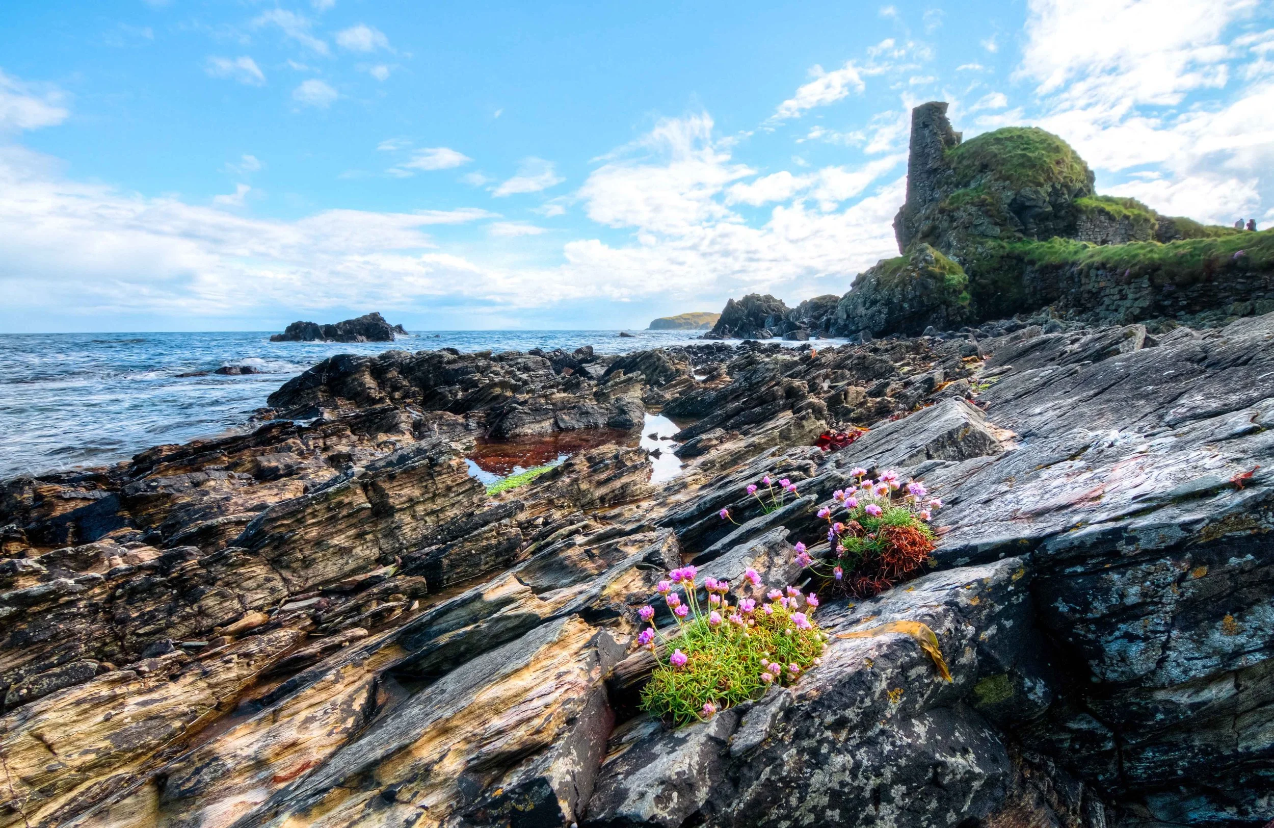 Sustainable Brand | Nature Destination | Experiential travel | Travel Guide | Gin Tasting | Foraging | Sustainable Business |  Islay Scotland | Travel Scotland | Botanist Gin | Bruichladdich Distillery | Room and Wild | Kate Hannett