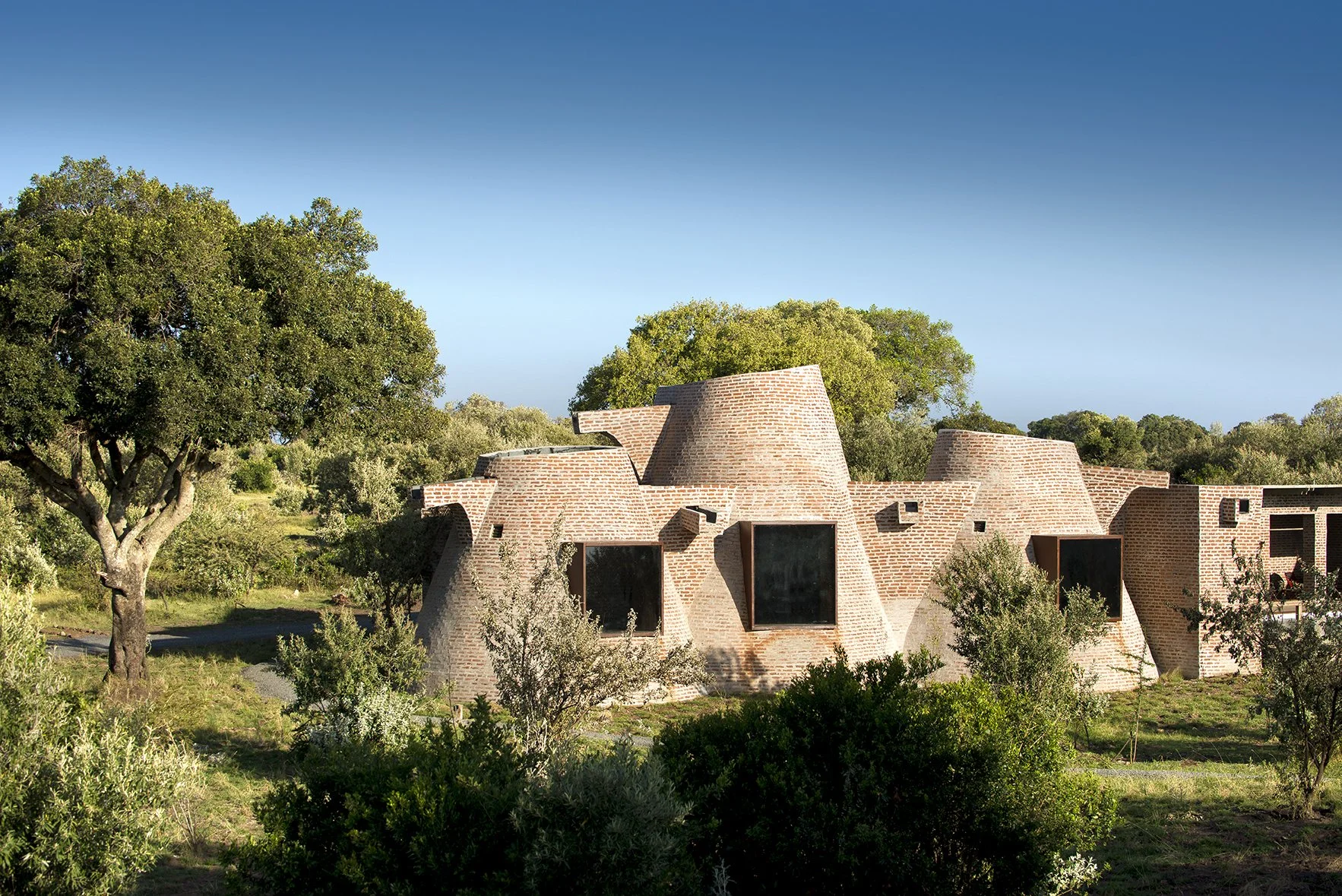 safari hotel | luxury kenya hotel | adventure | Eco travel | eco hotel | landscape hotel | nature hotel | nature destination | room and wild | luxury hotel | conservation | Angama Mara