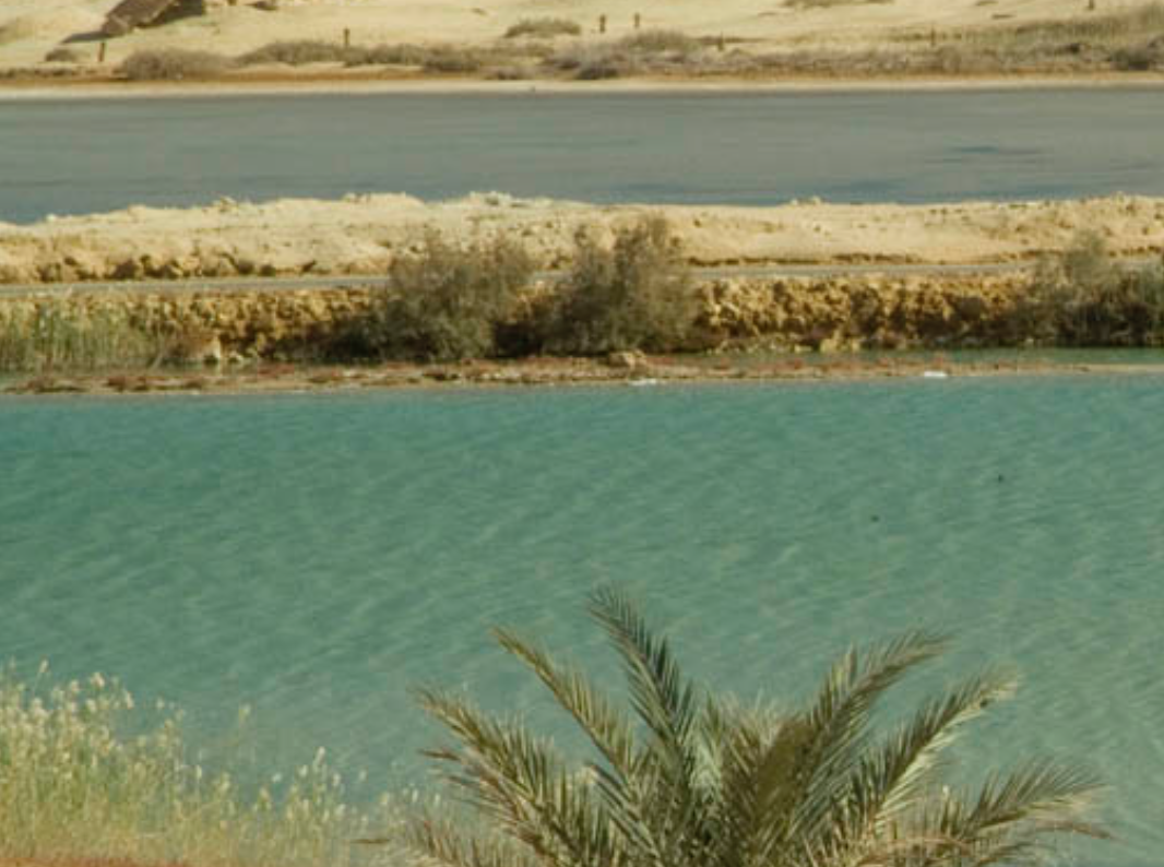 Siwa Oasis | Taziry Ecovillages Siwa, Egypt
