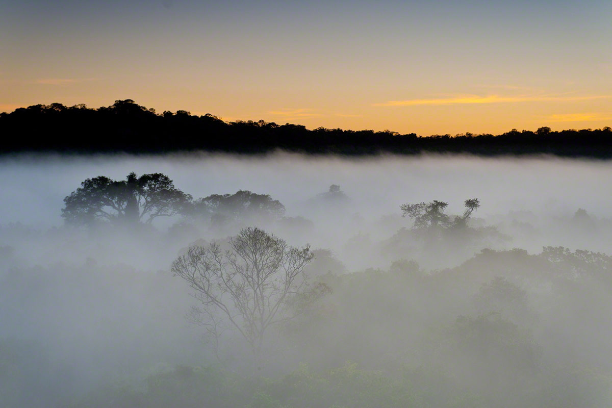 Brazil Resort | Cristalino Lodge | An Amazon Sanctuary