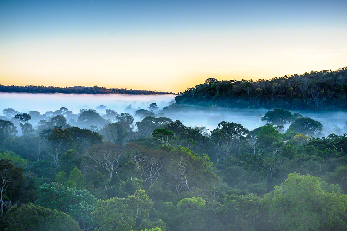 Brazil Resort | Cristalino Lodge | An Amazon Sanctuary