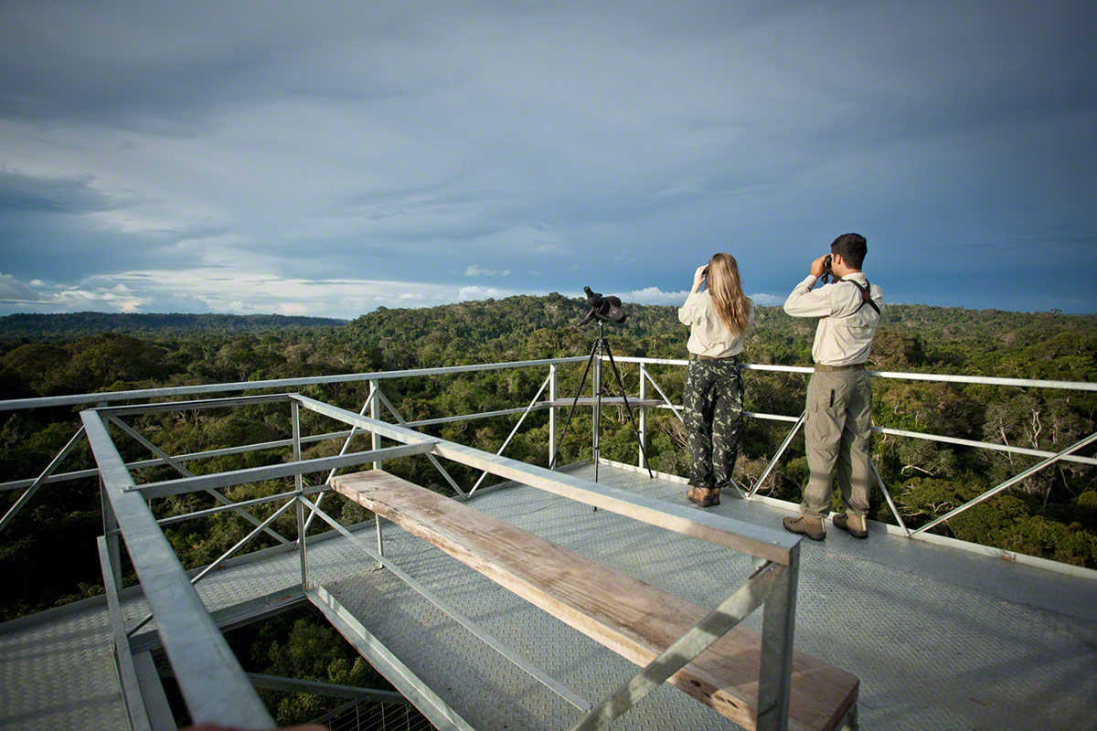 Brazil Resort | Cristalino Lodge | An Amazon Sanctuary