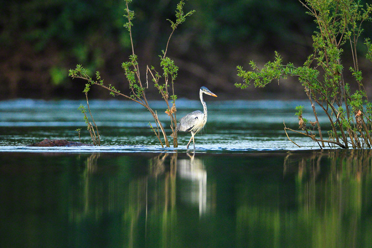 Brazil Resort | Cristalino Lodge | An Amazon Sanctuary