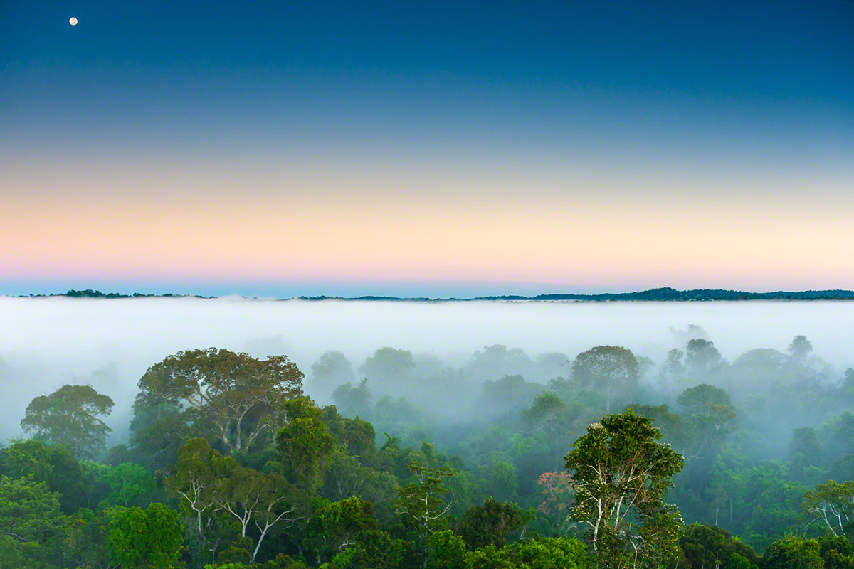 Brazil Resort | Cristalino Lodge | An Amazon Sanctuary