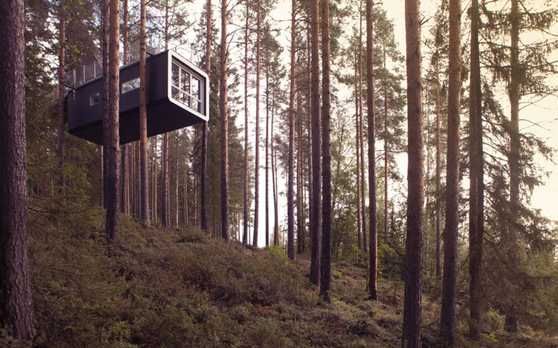 Sweden Hotel | Treehotel Harads