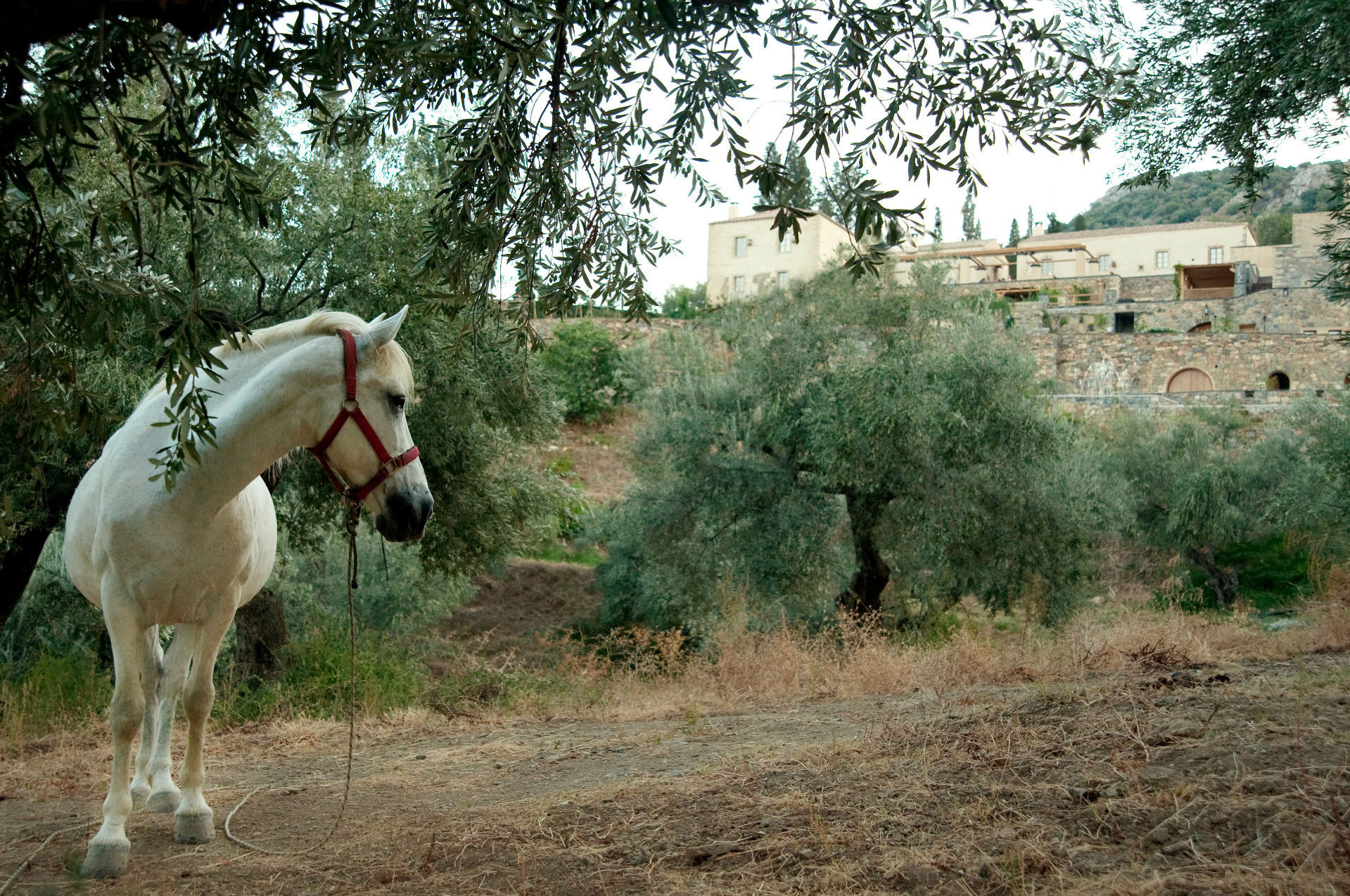 Greece Hotel | The Kinsterna Hotel