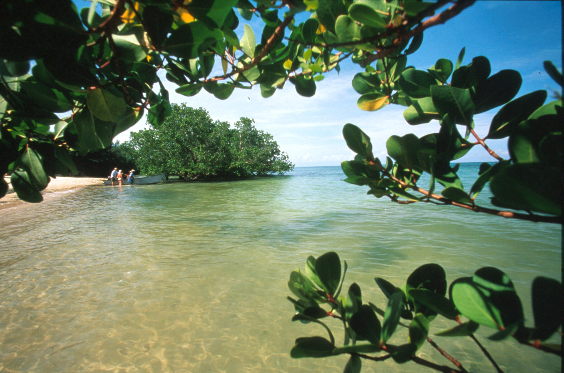 Beach2-Guido_Cozzi.jpg