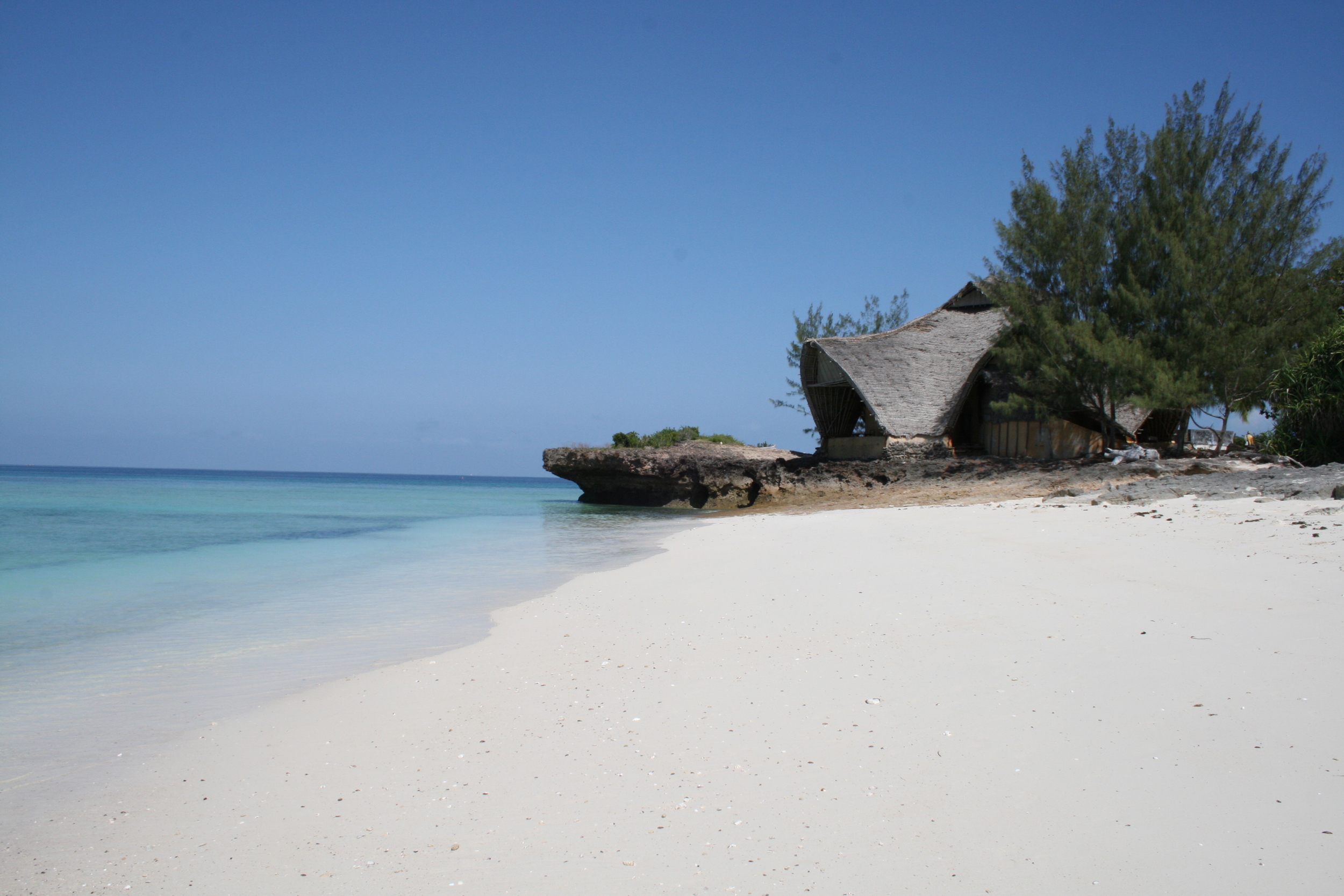 Beachandmainbuilding_Oskar_Henriksson.jpg