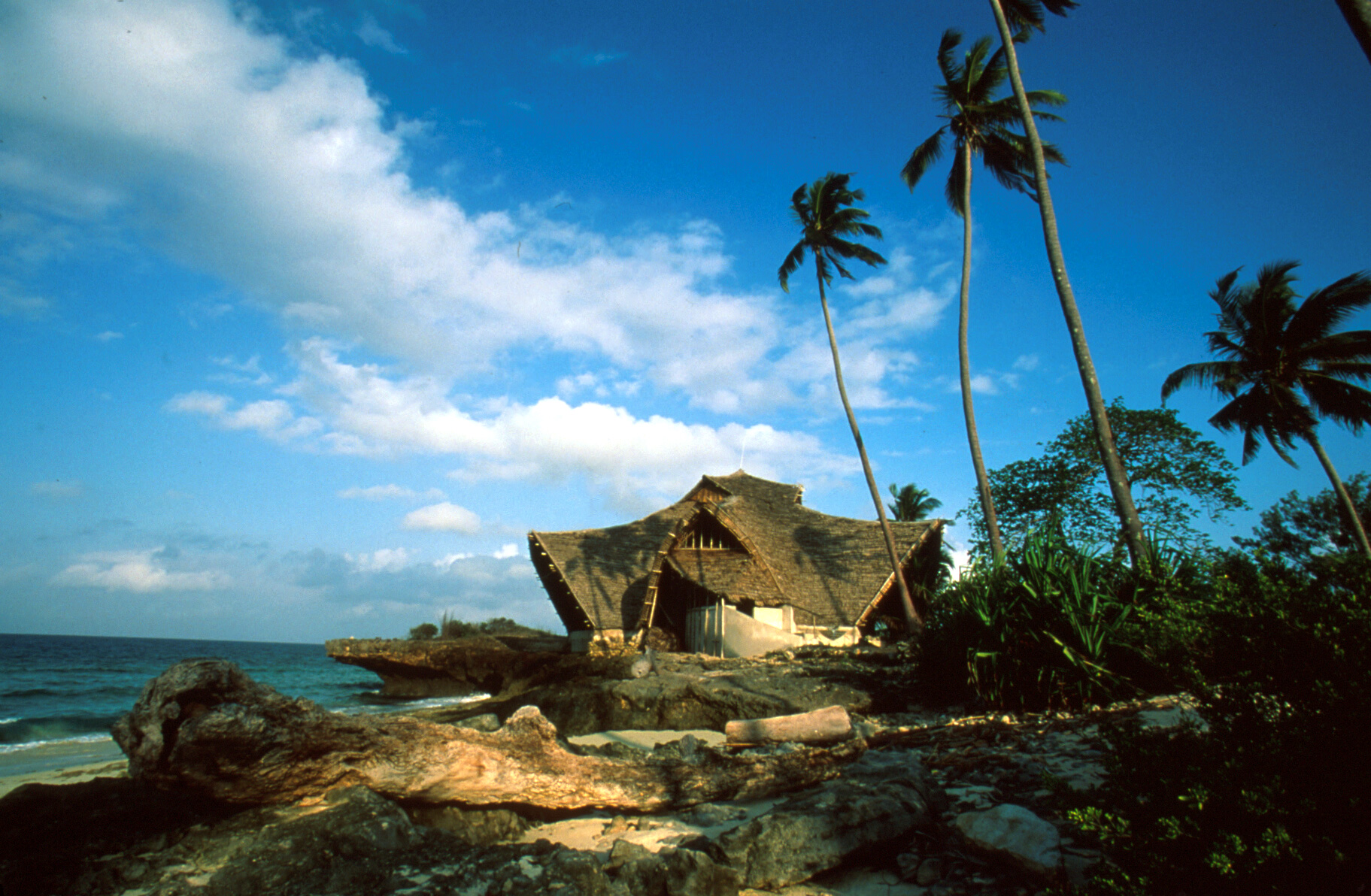 visitor_center_and_palm_trees_Craig_Zendel.jpg