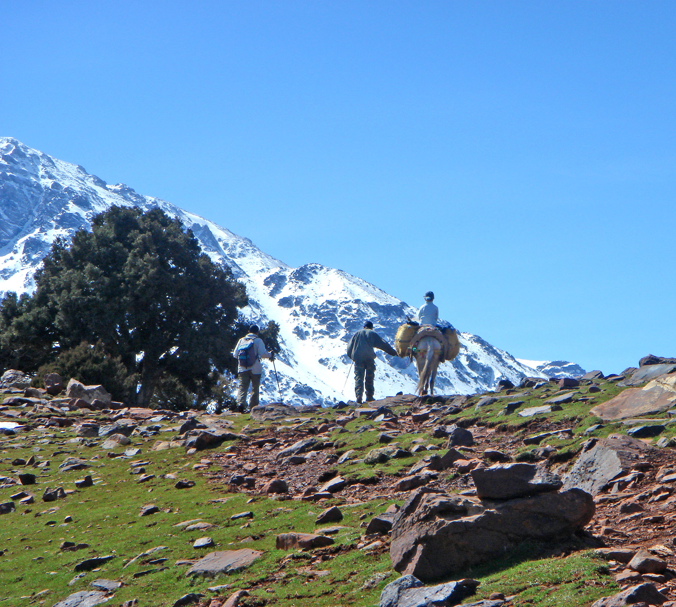 Morocco Hotels | Kasbah du Toubkal