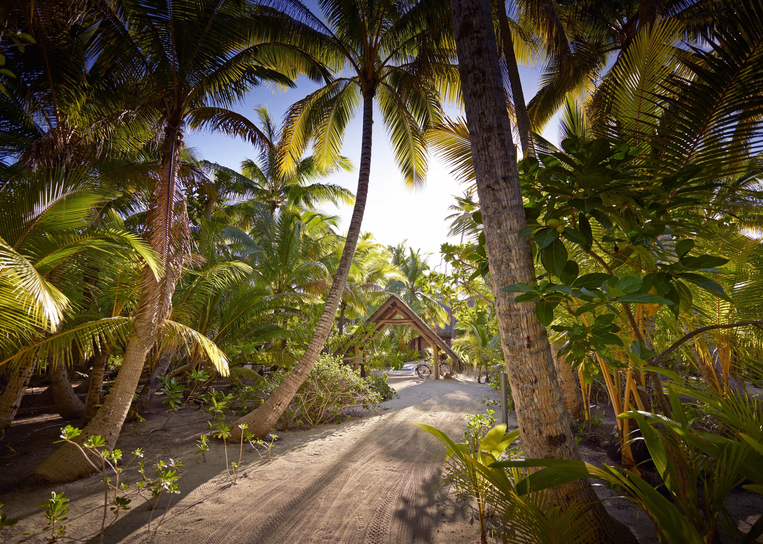 Luxury Beach Resort | The Brando French Polynesia