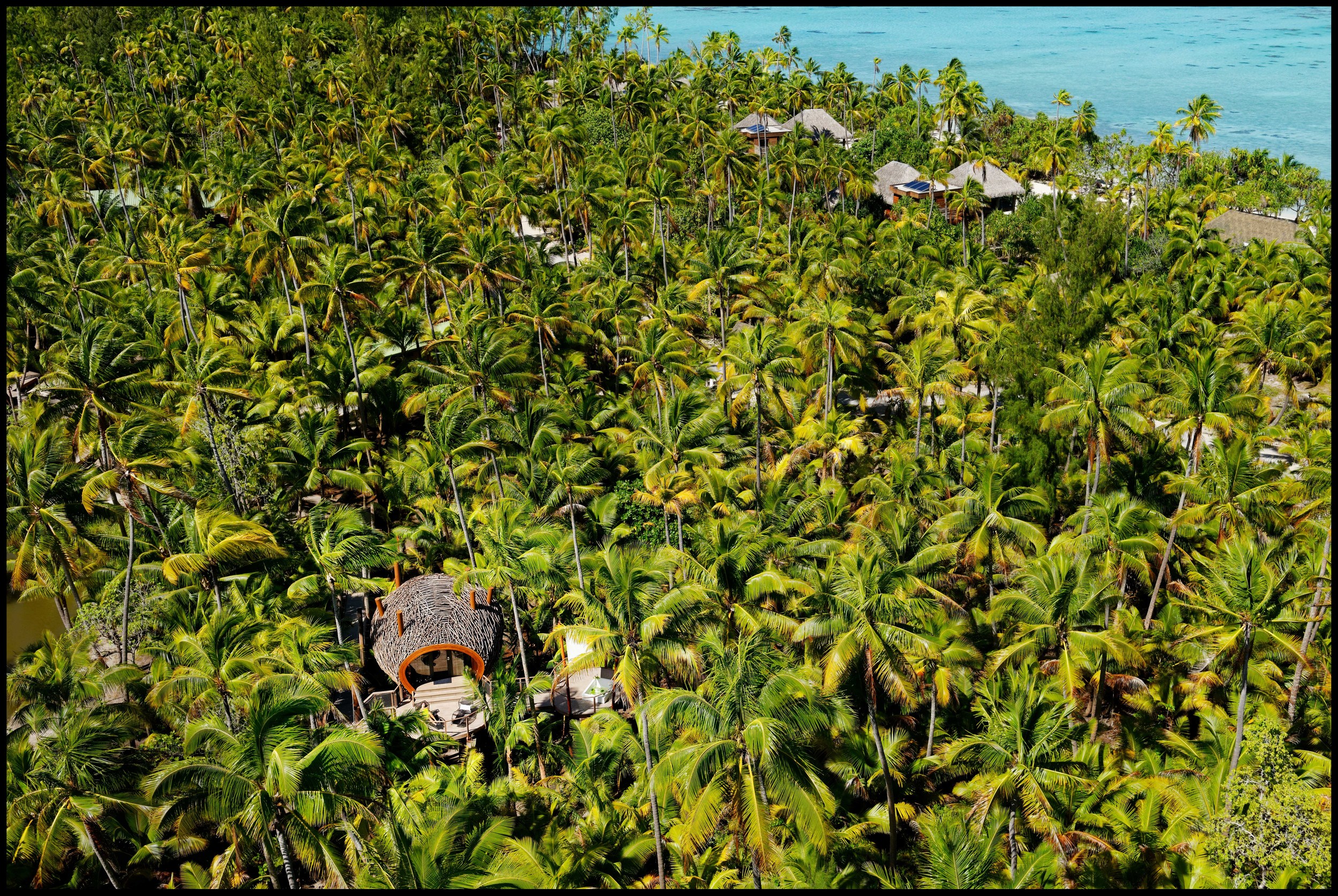 Luxury Beach Resort | The Brando French Polynesia