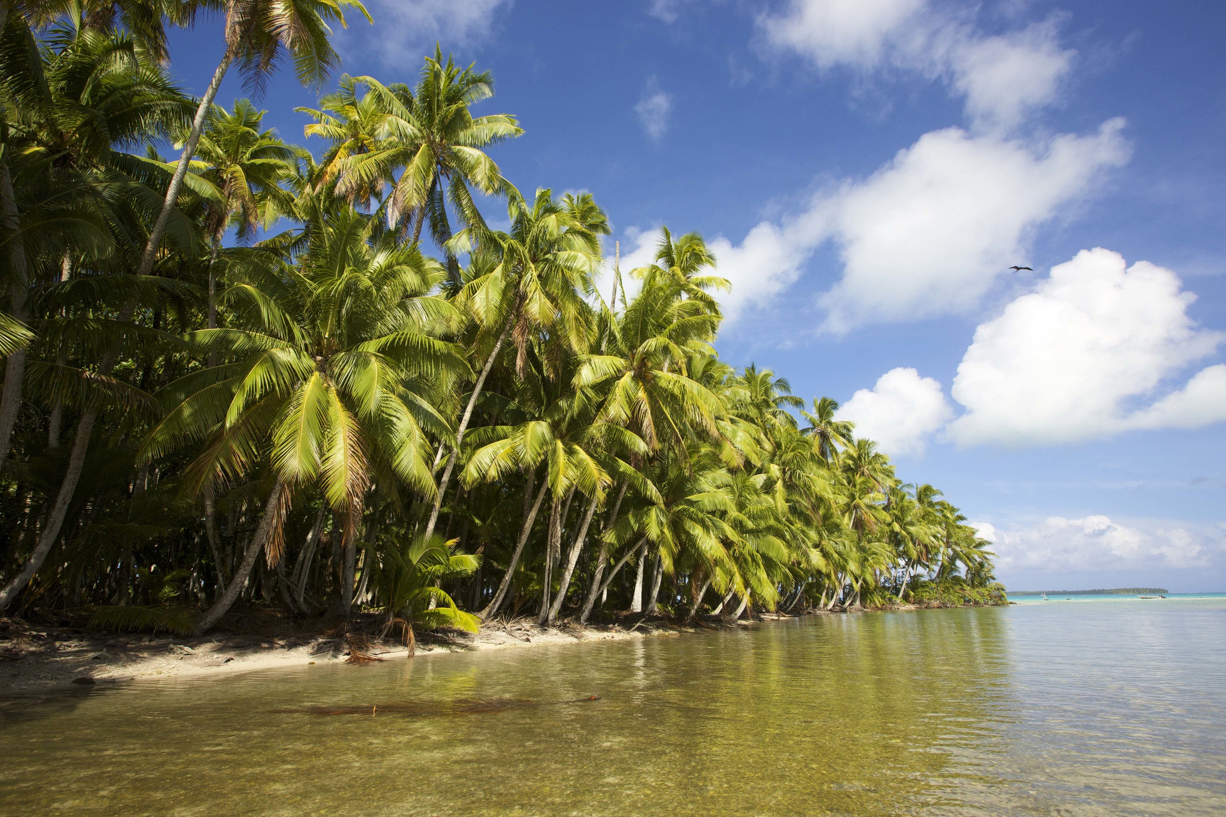 Luxury Beach Resort | The Brando French Polynesia