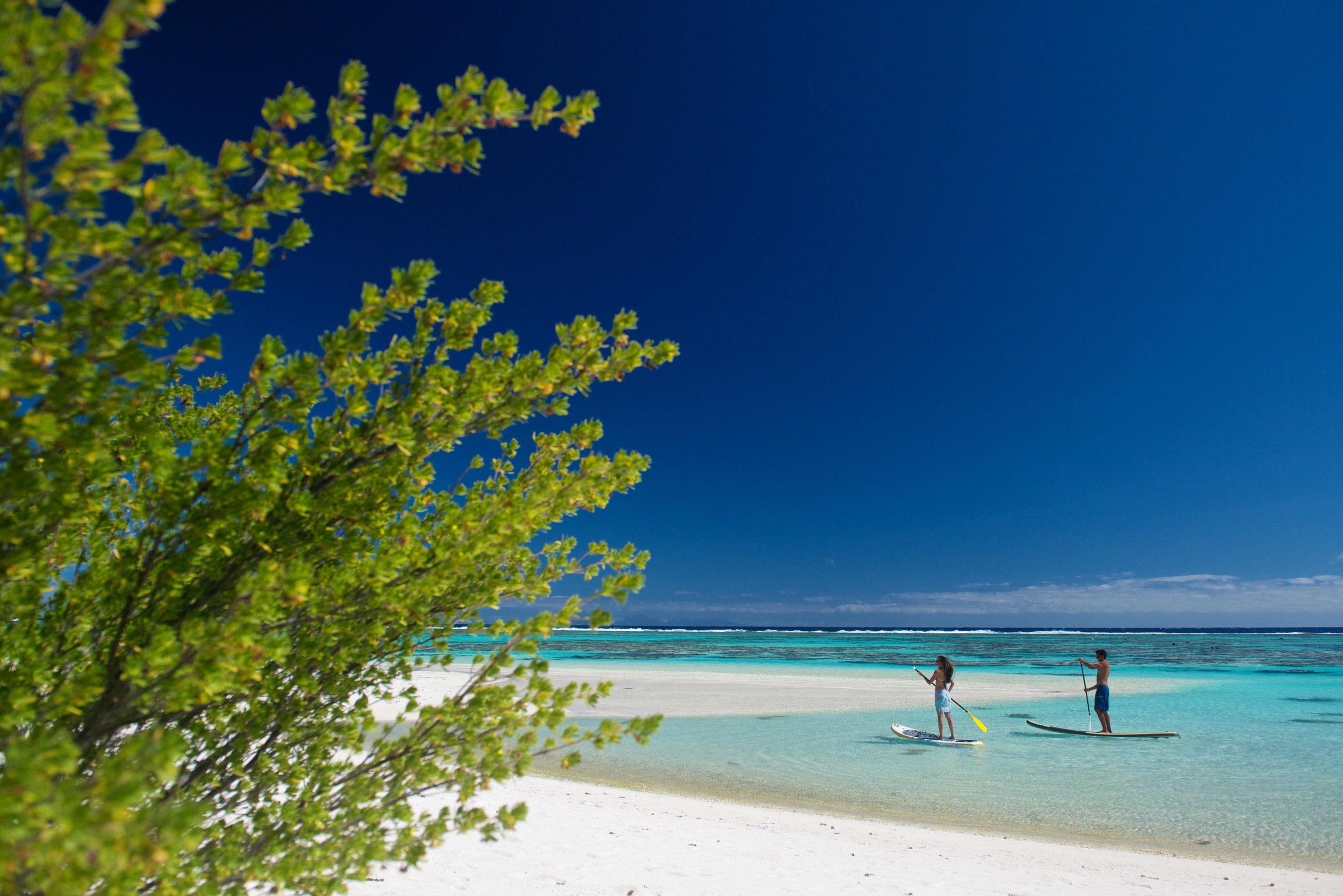 Luxury Beach Resort | The Brando French Polynesia