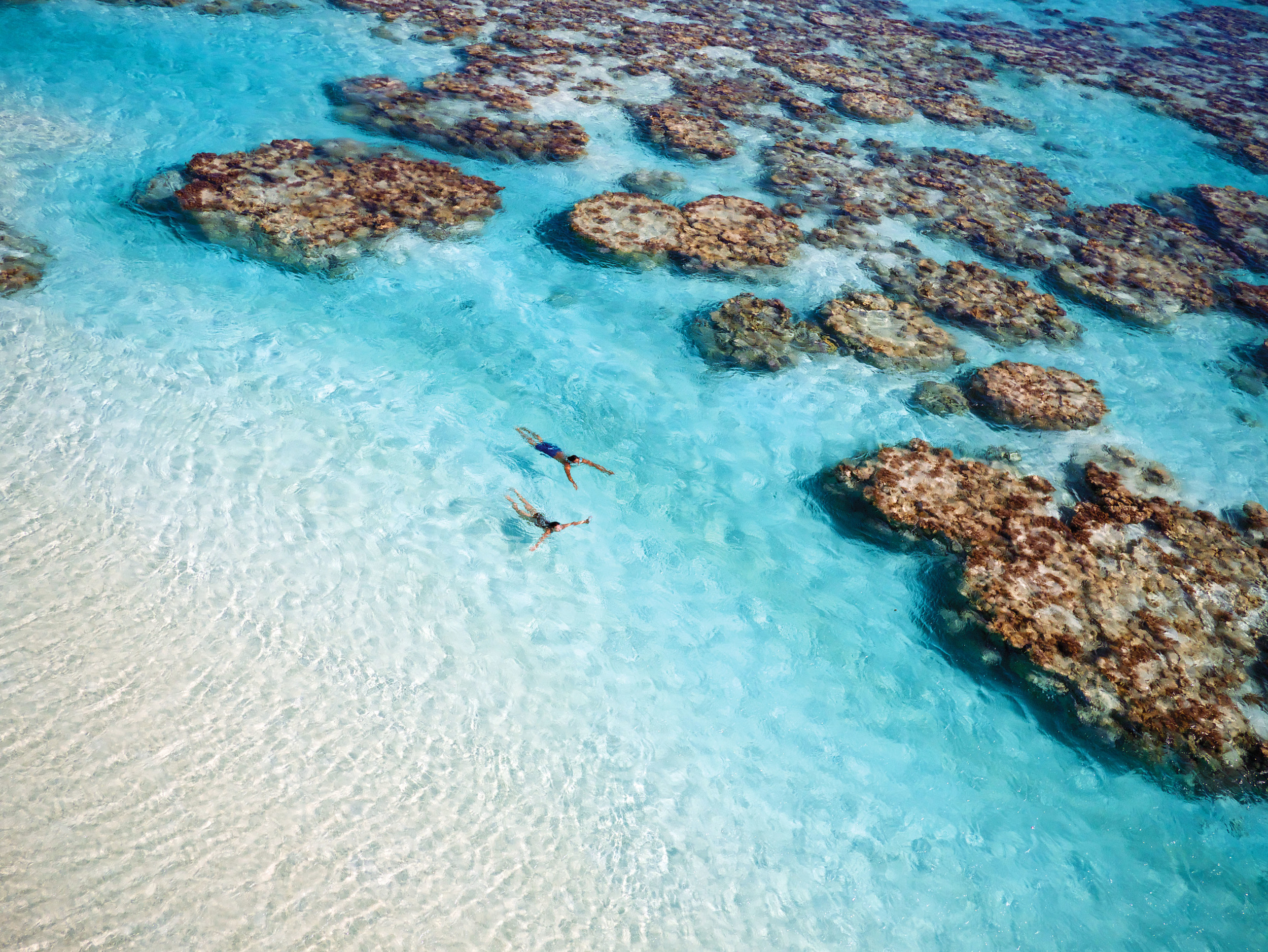 Luxury Beach Resort | The Brando French Polynesia