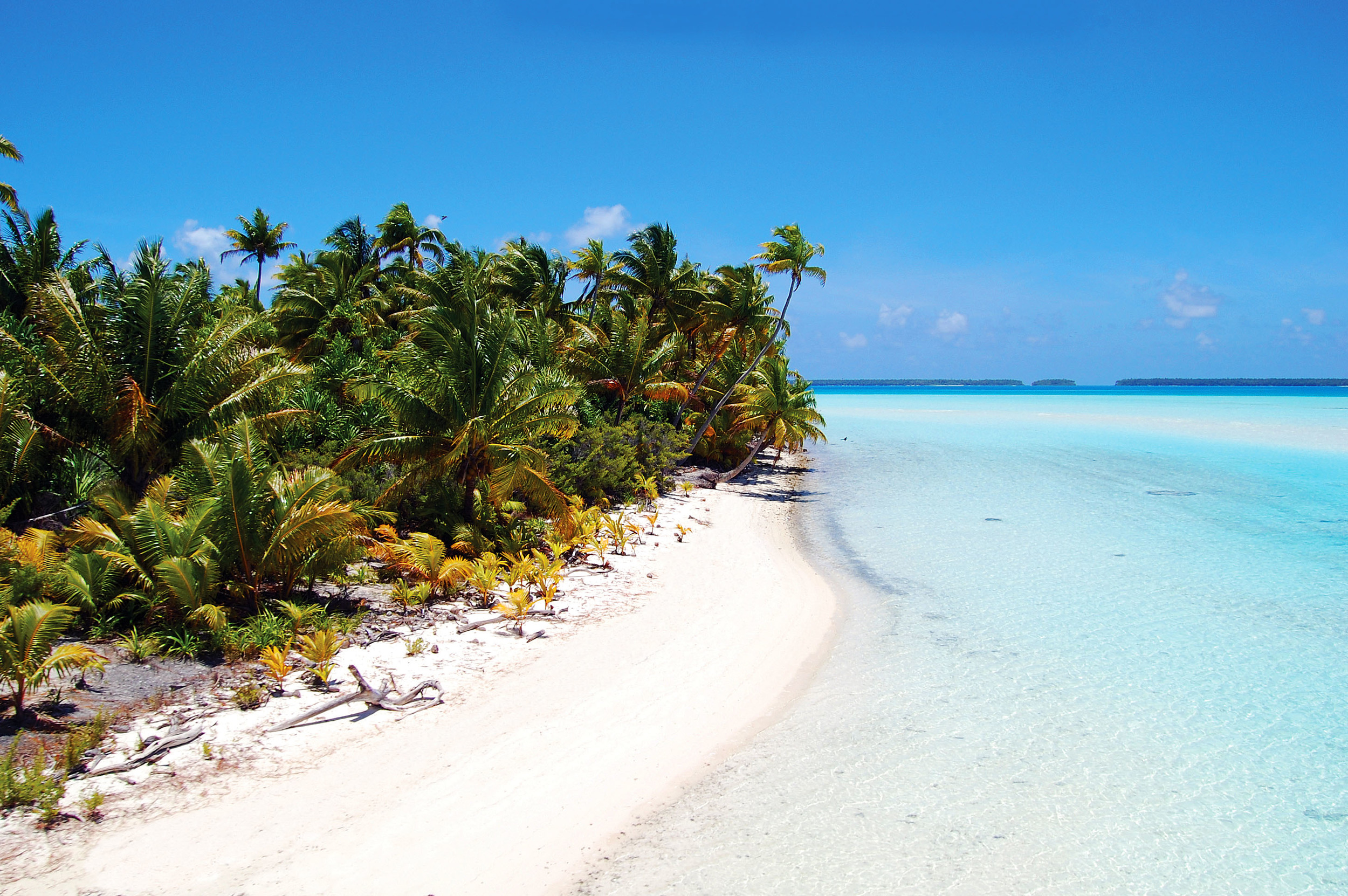 Luxury Beach Resort | The Brando French Polynesia