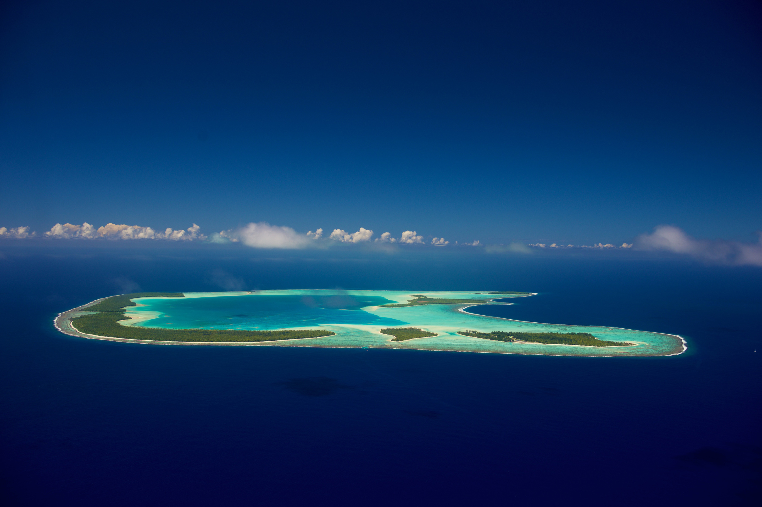 Luxury Beach Resort | The Brando French Polynesia