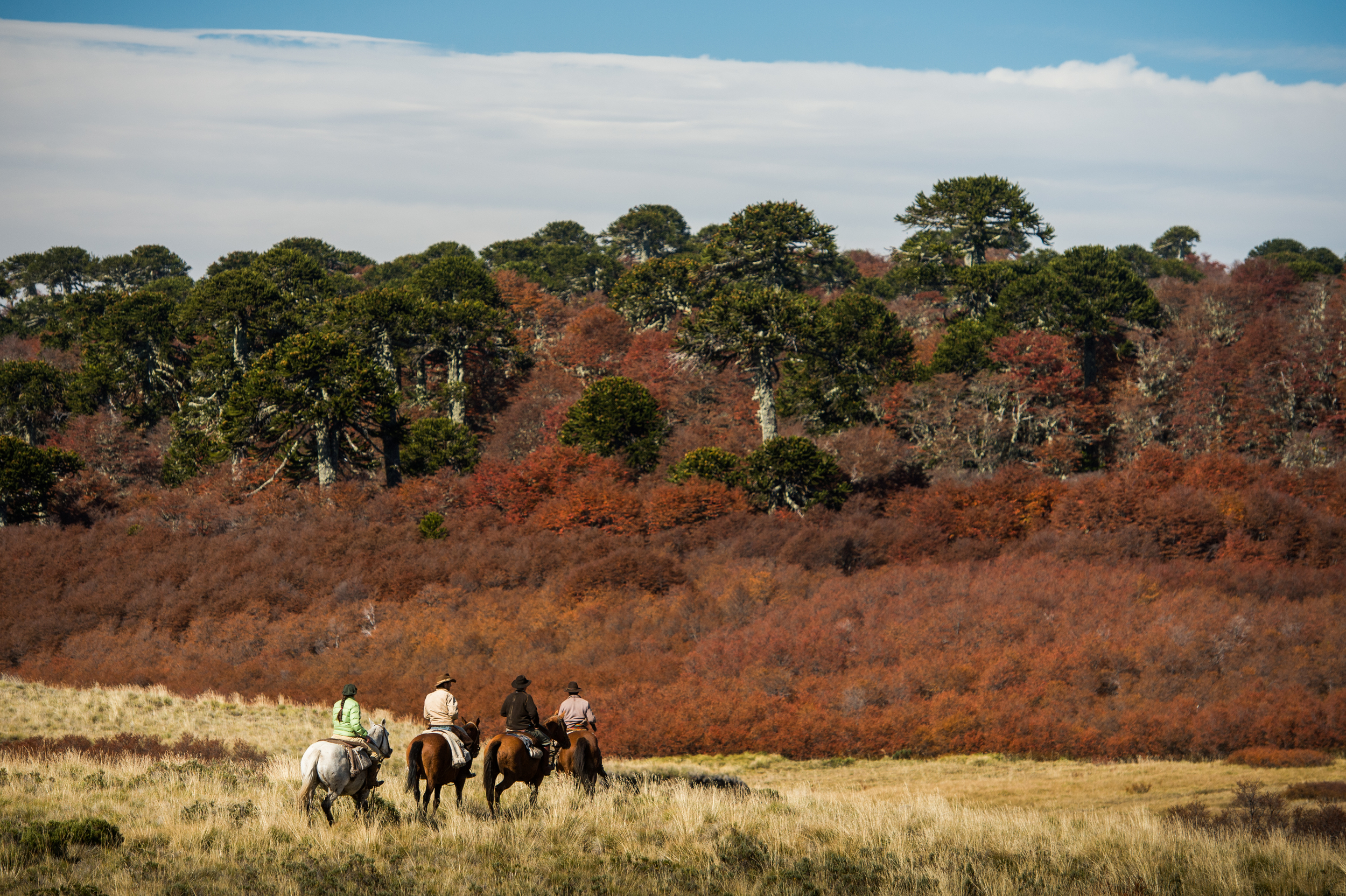 Patagonia | Caballadas: Horse Riding and Fly Fishing Trips