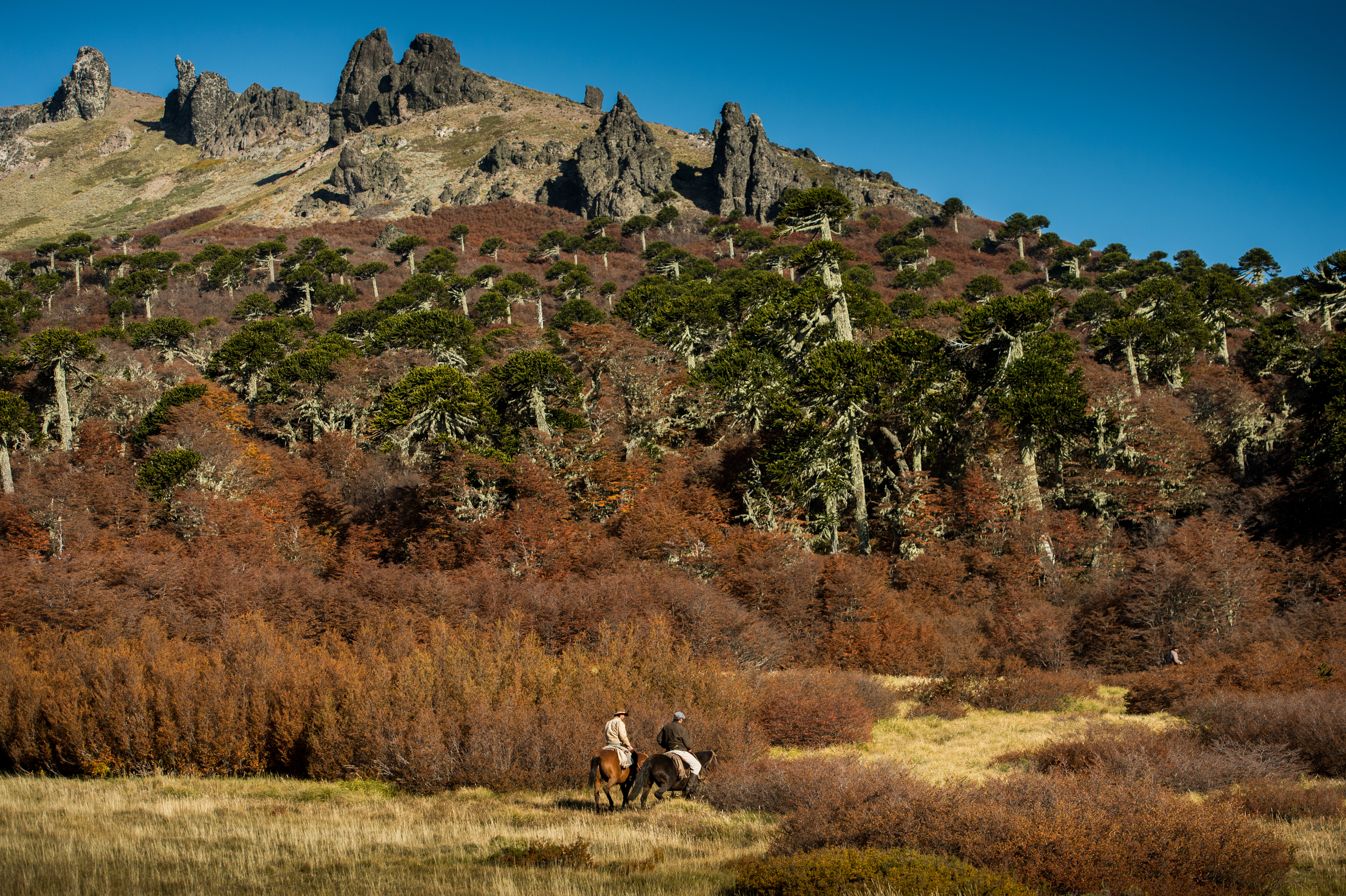 Patagonia | Caballadas: Horse Riding and Fly Fishing Trips