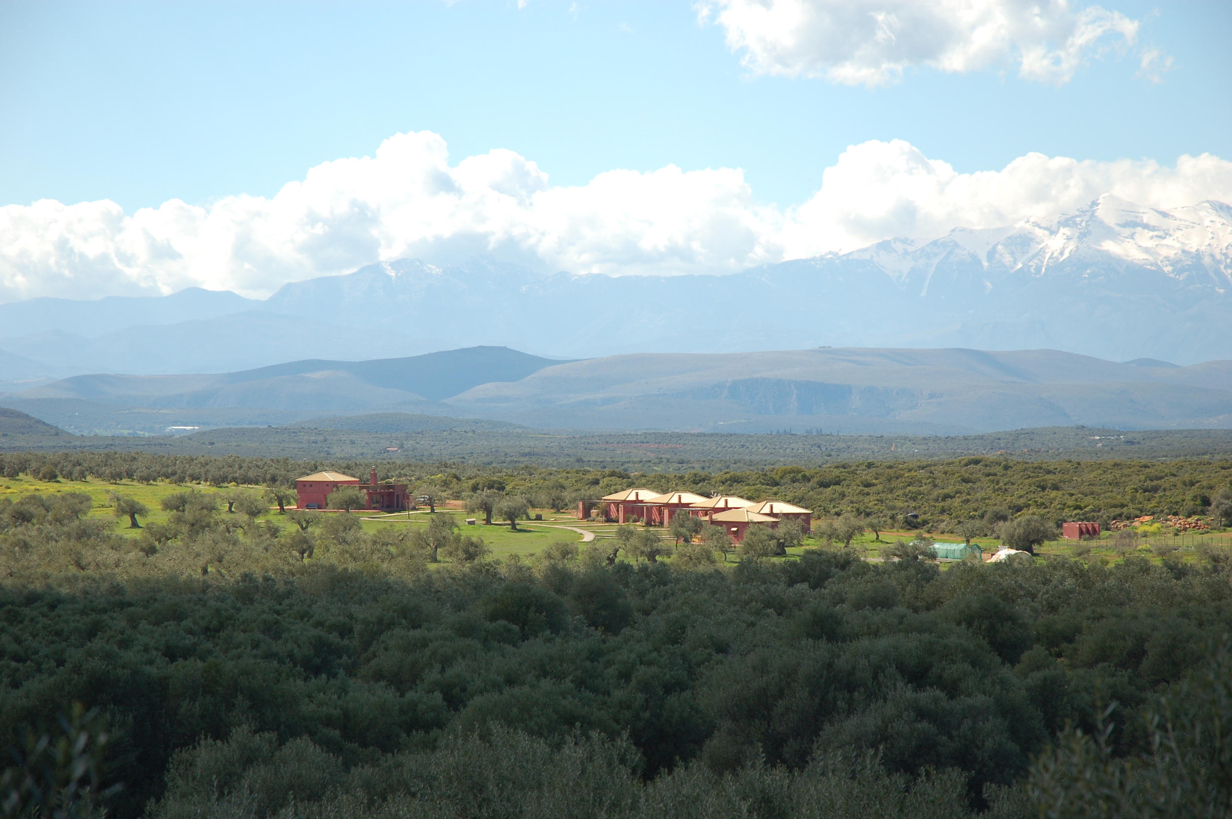 Greece Hotel | Eumelia Organic Agrotourism Farm