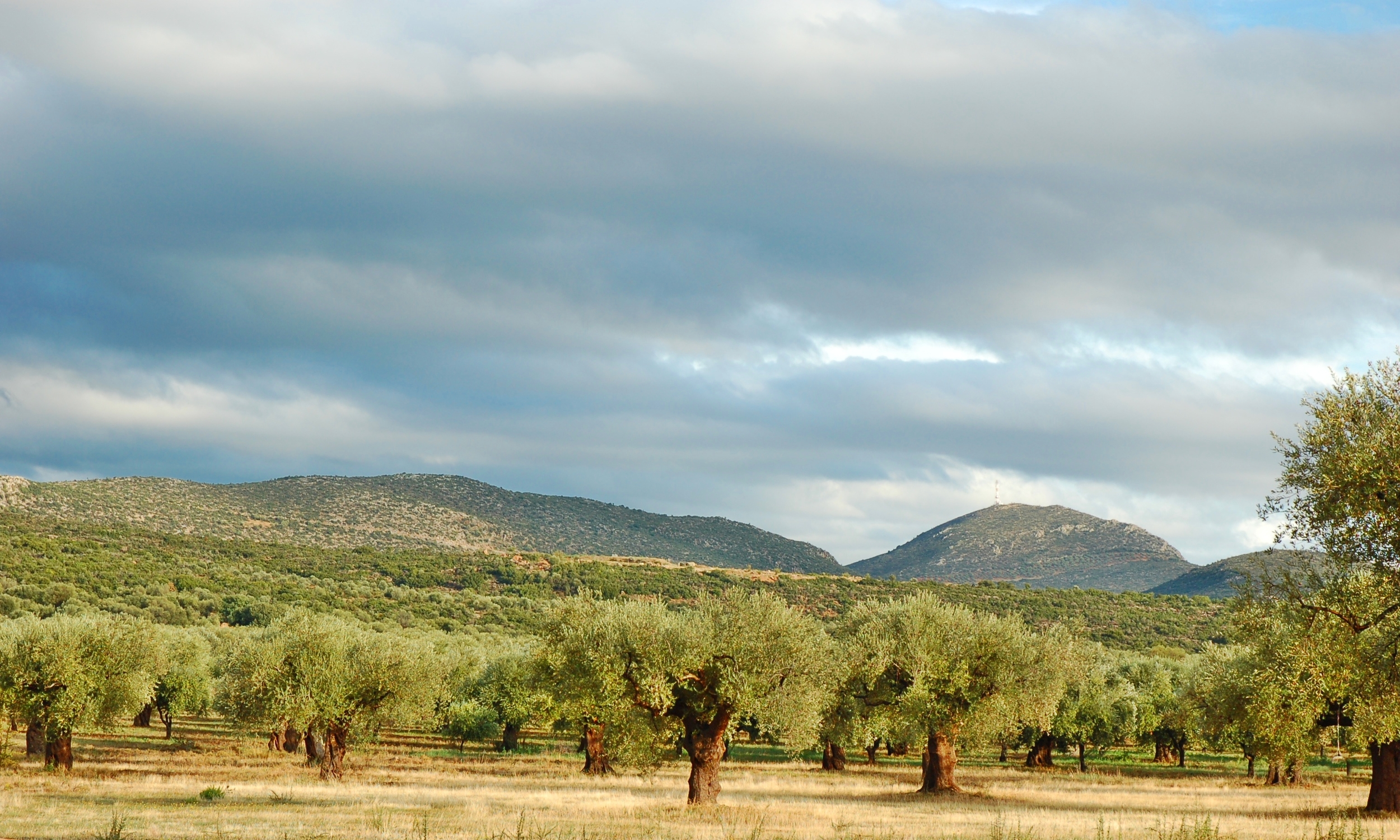 Greece Hotel | Eumelia Organic Agrotourism Farm