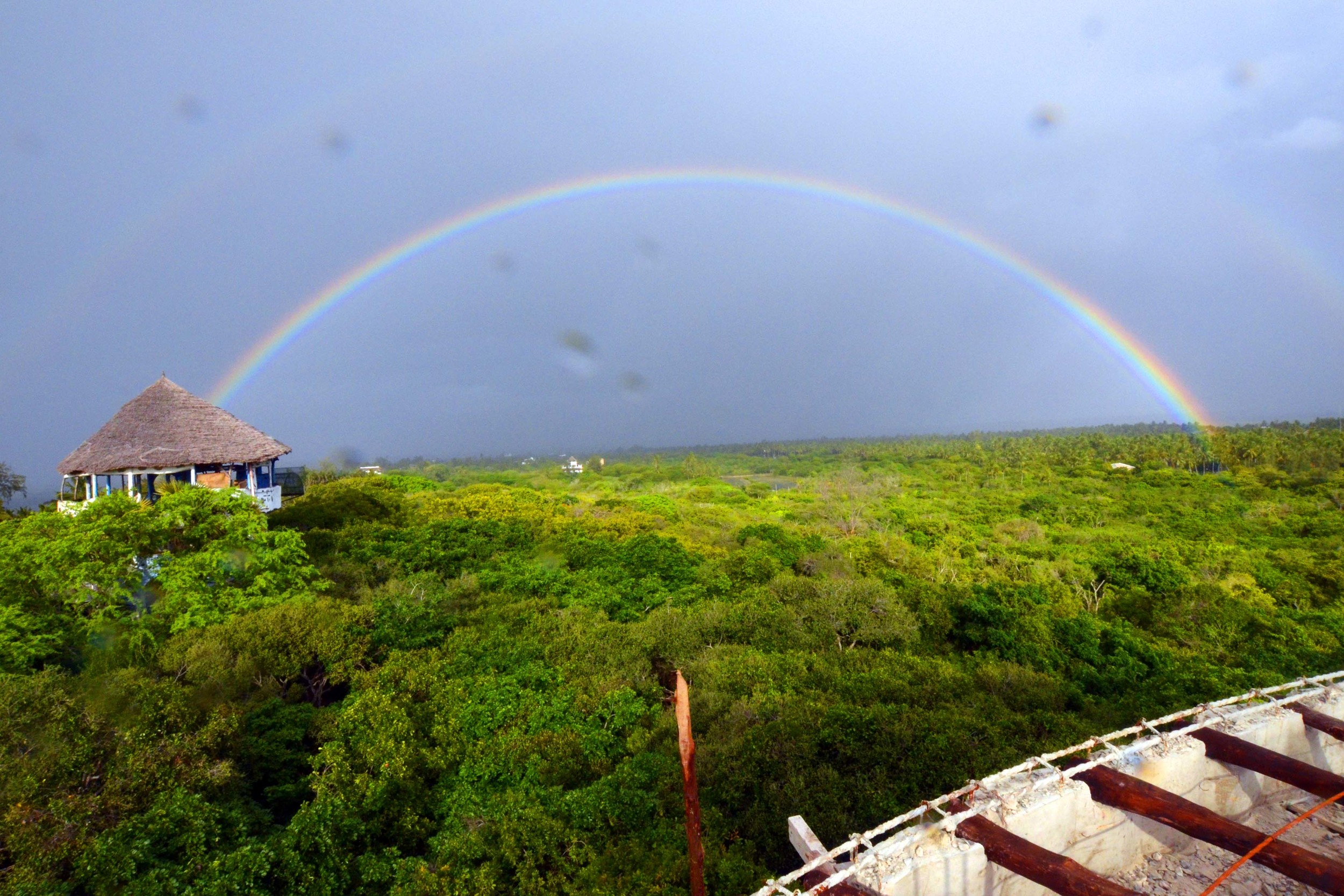 Treehouse Hotel | Watamu Treehouse Kenya