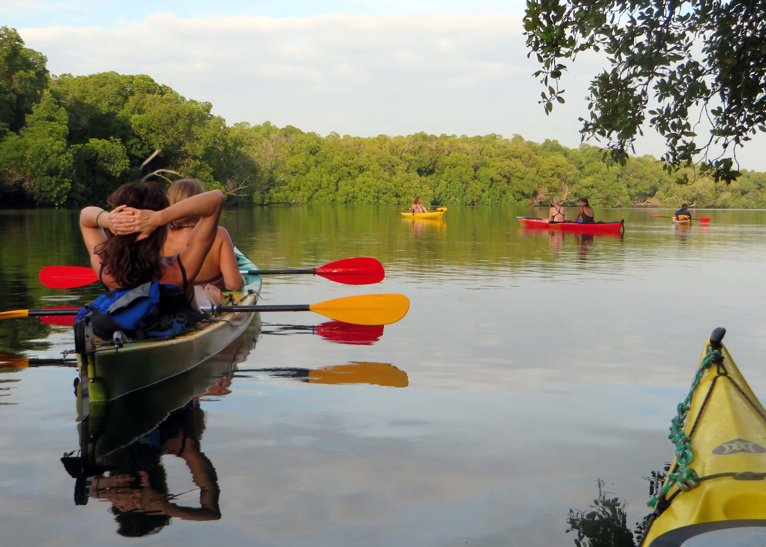 Treehouse Hotel | Watamu Treehouse Kenya