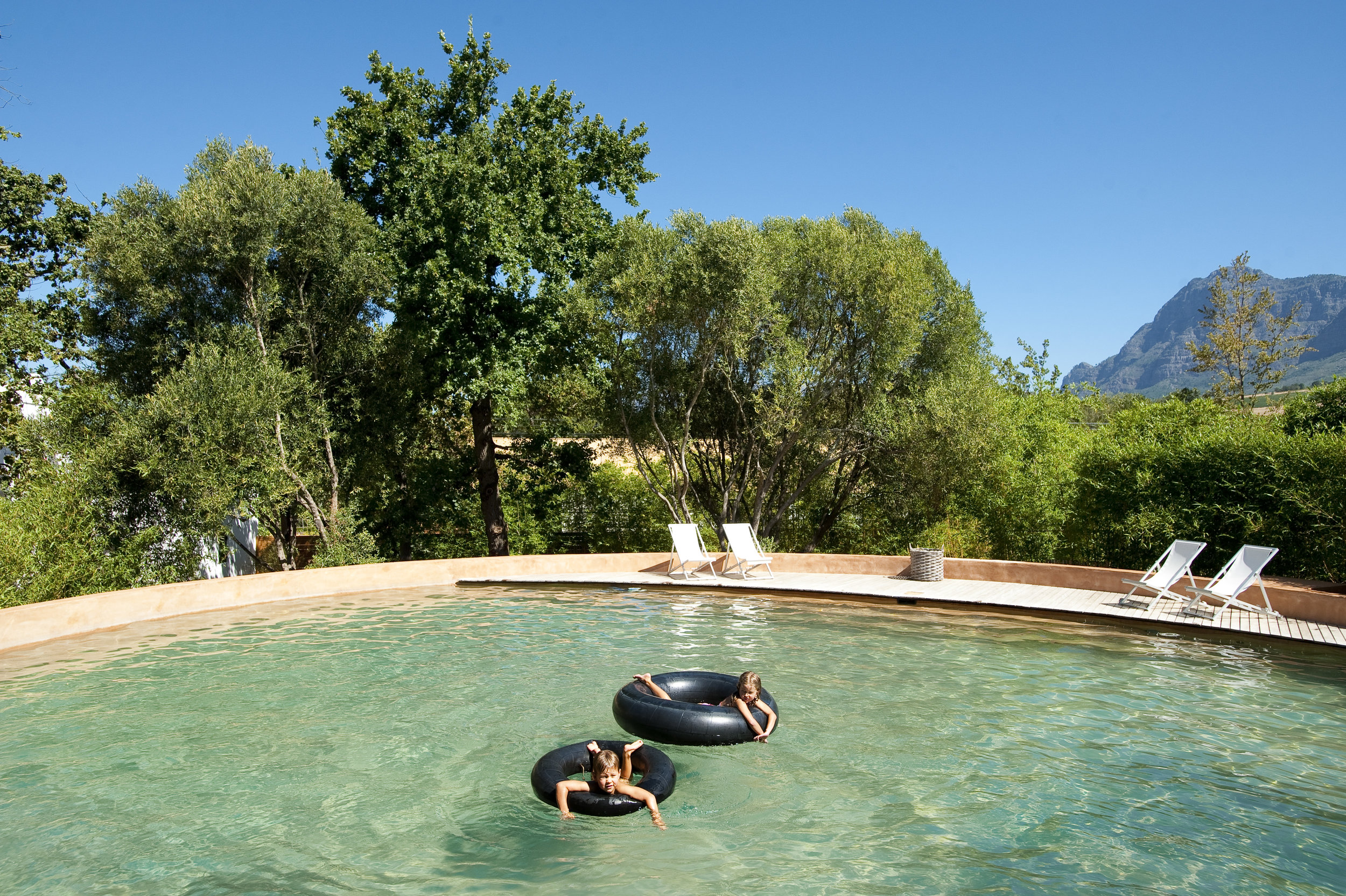 18.Farm dam amidst wild olives and oaks, Simonsberg peeping.jpg