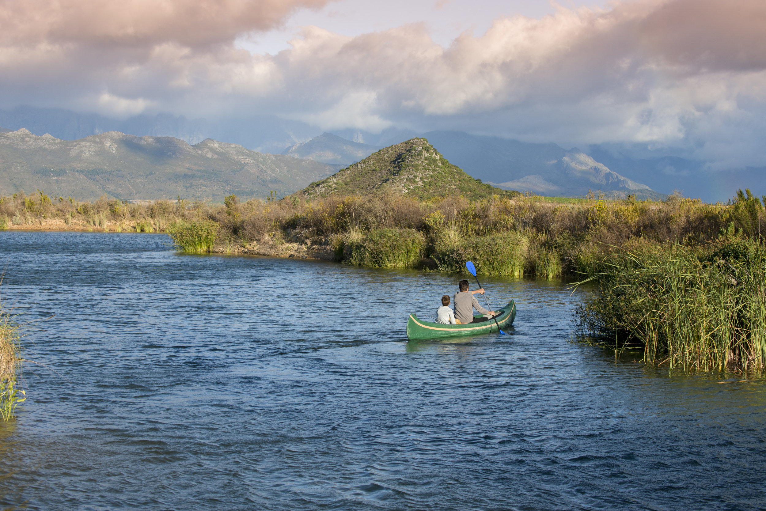 15.Life on the big dam, Babylonstoren kopje, beyond the Du Toitskloof mountain range.jpg