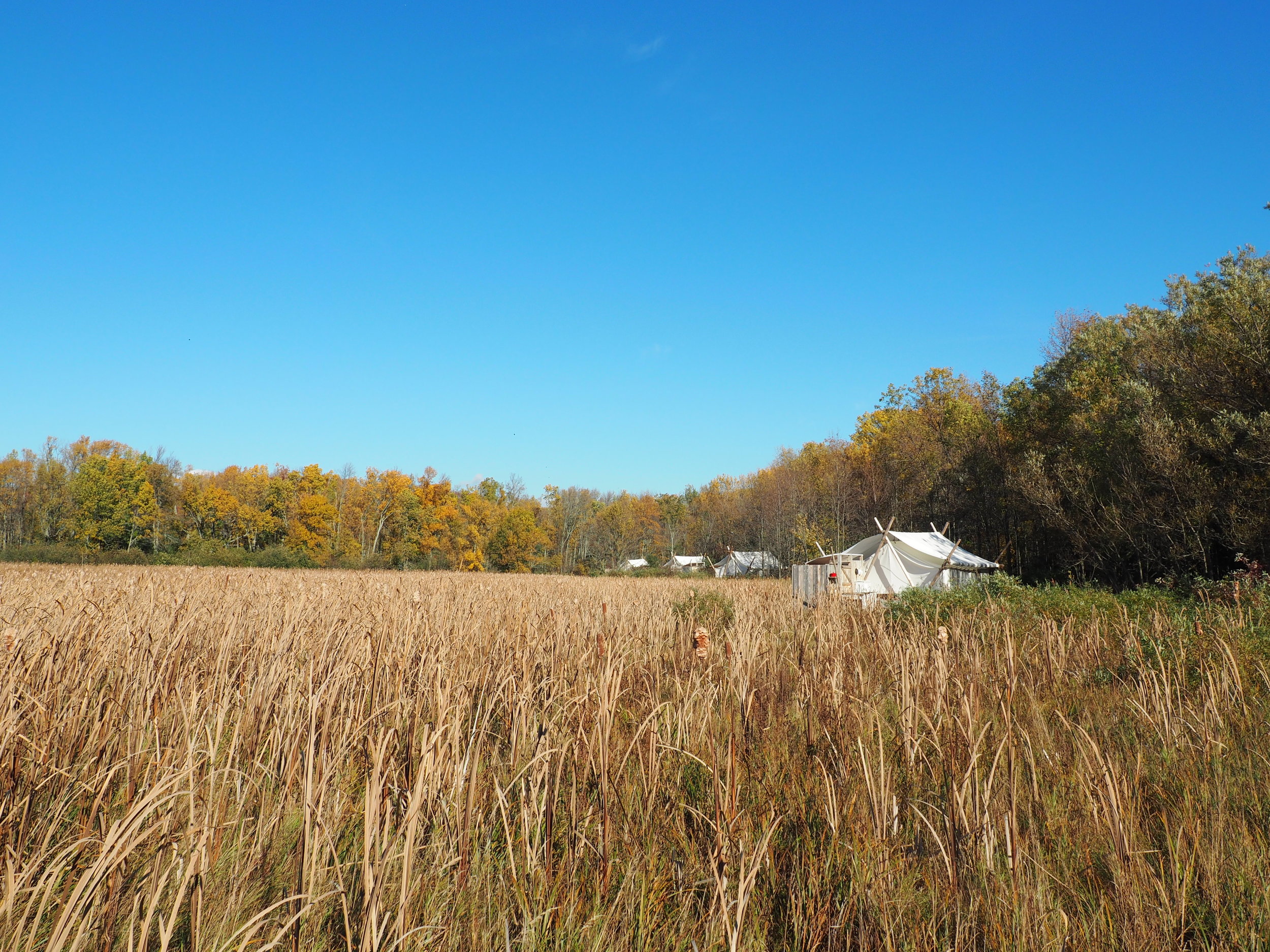 Prince Edward County | Fronterra Farm