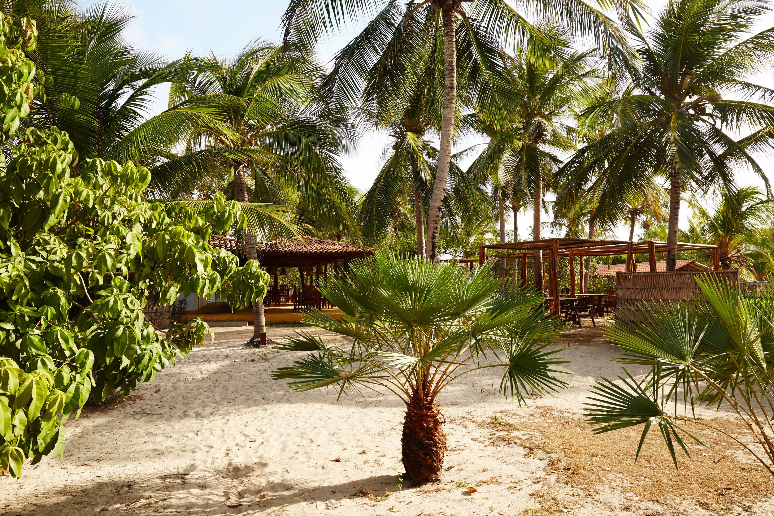 Brazil Hotel | La Ferme de Georges